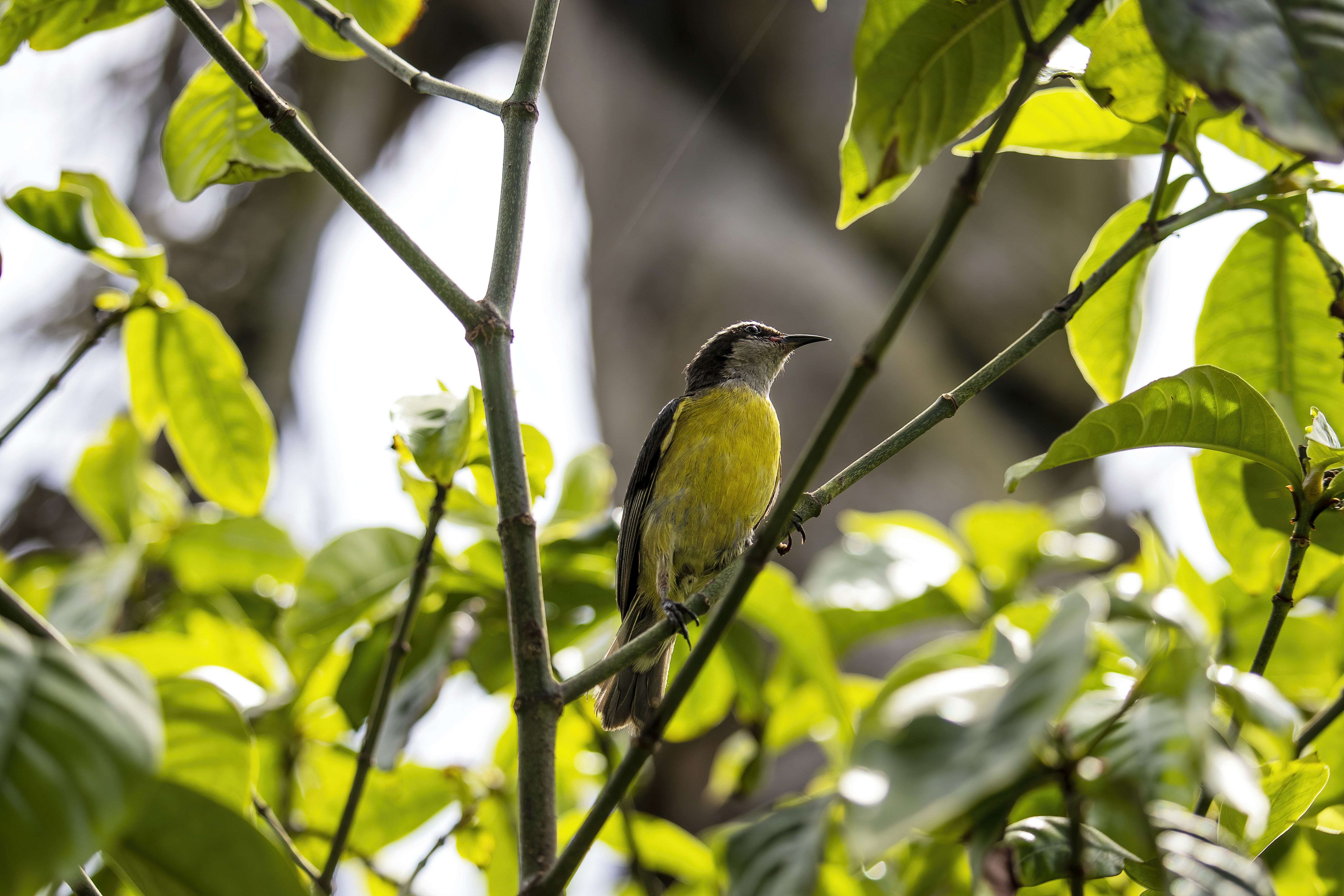 Photo by hicarodecastro