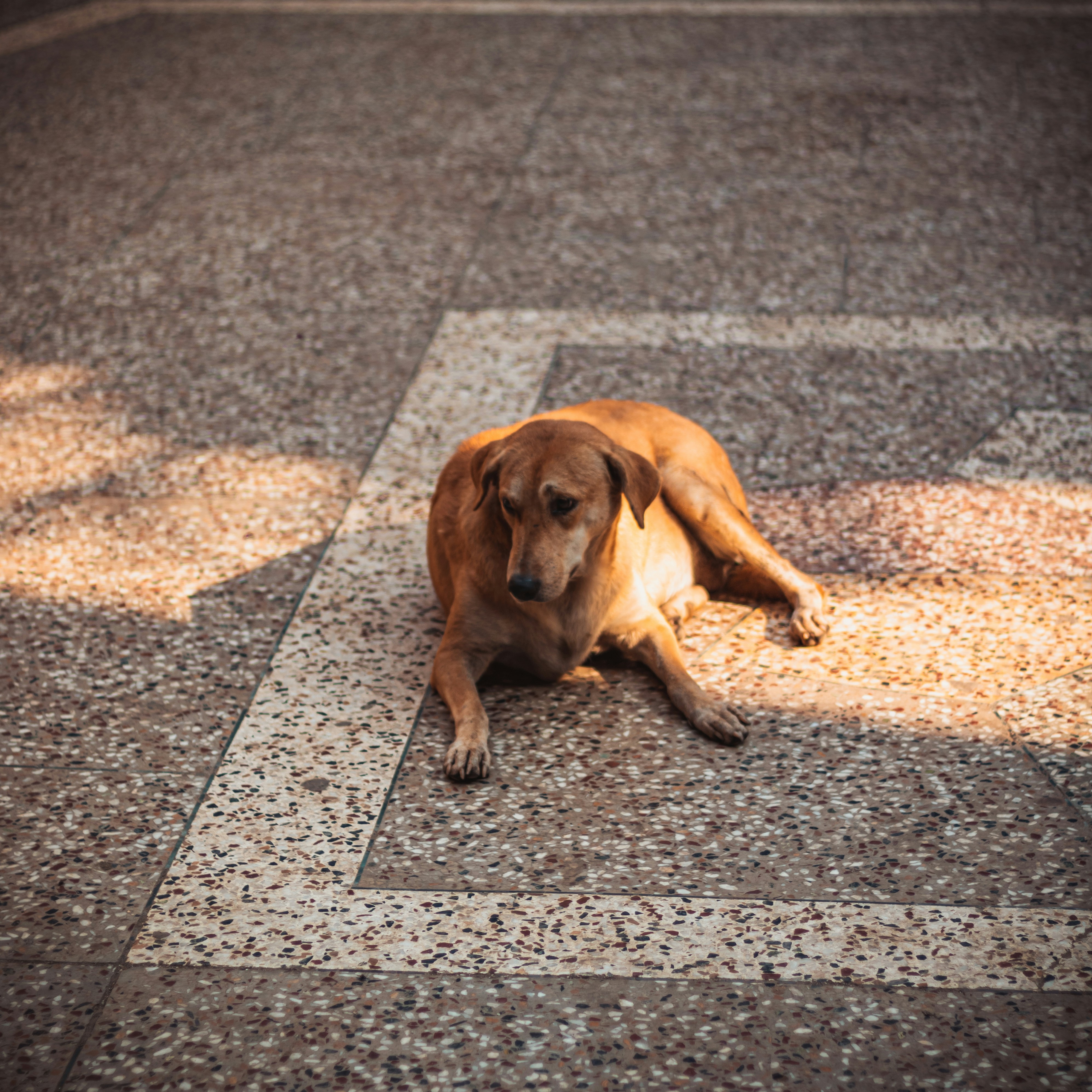 Photo by shantanugoyal_