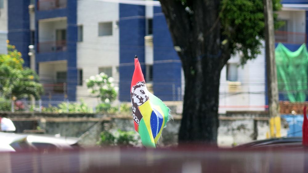 a flag on a pole