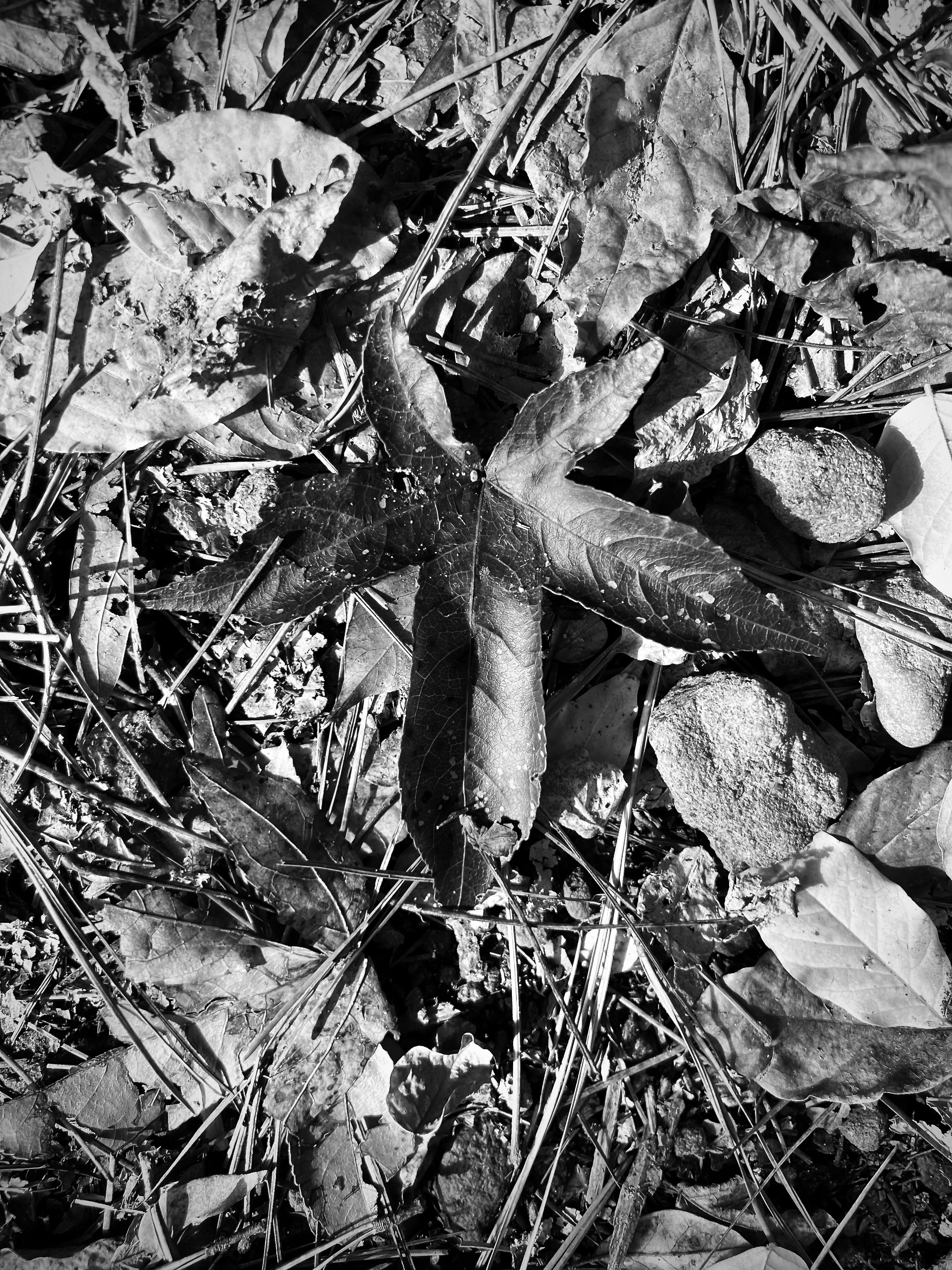 Photo by micahhughes