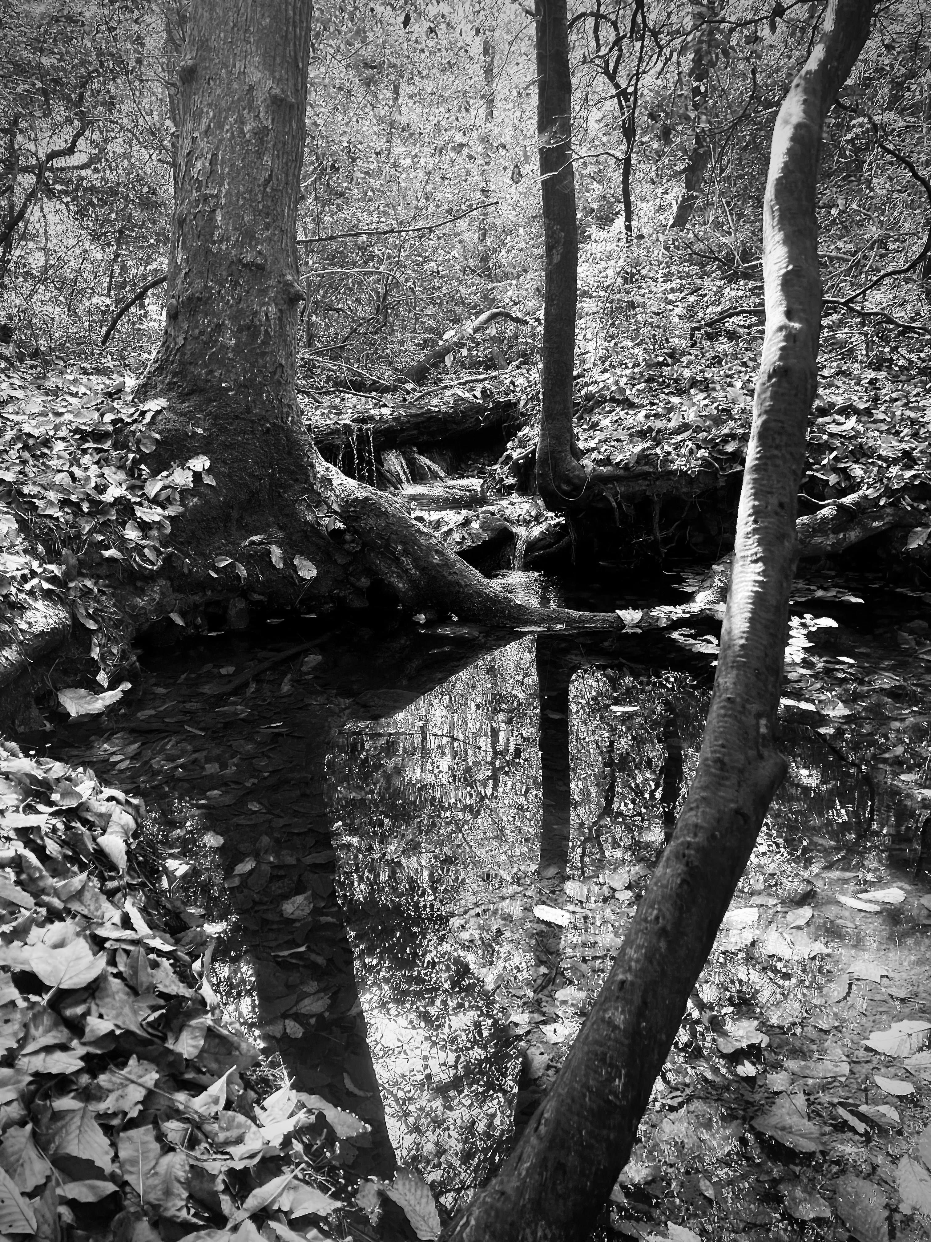 Photo by micahhughes