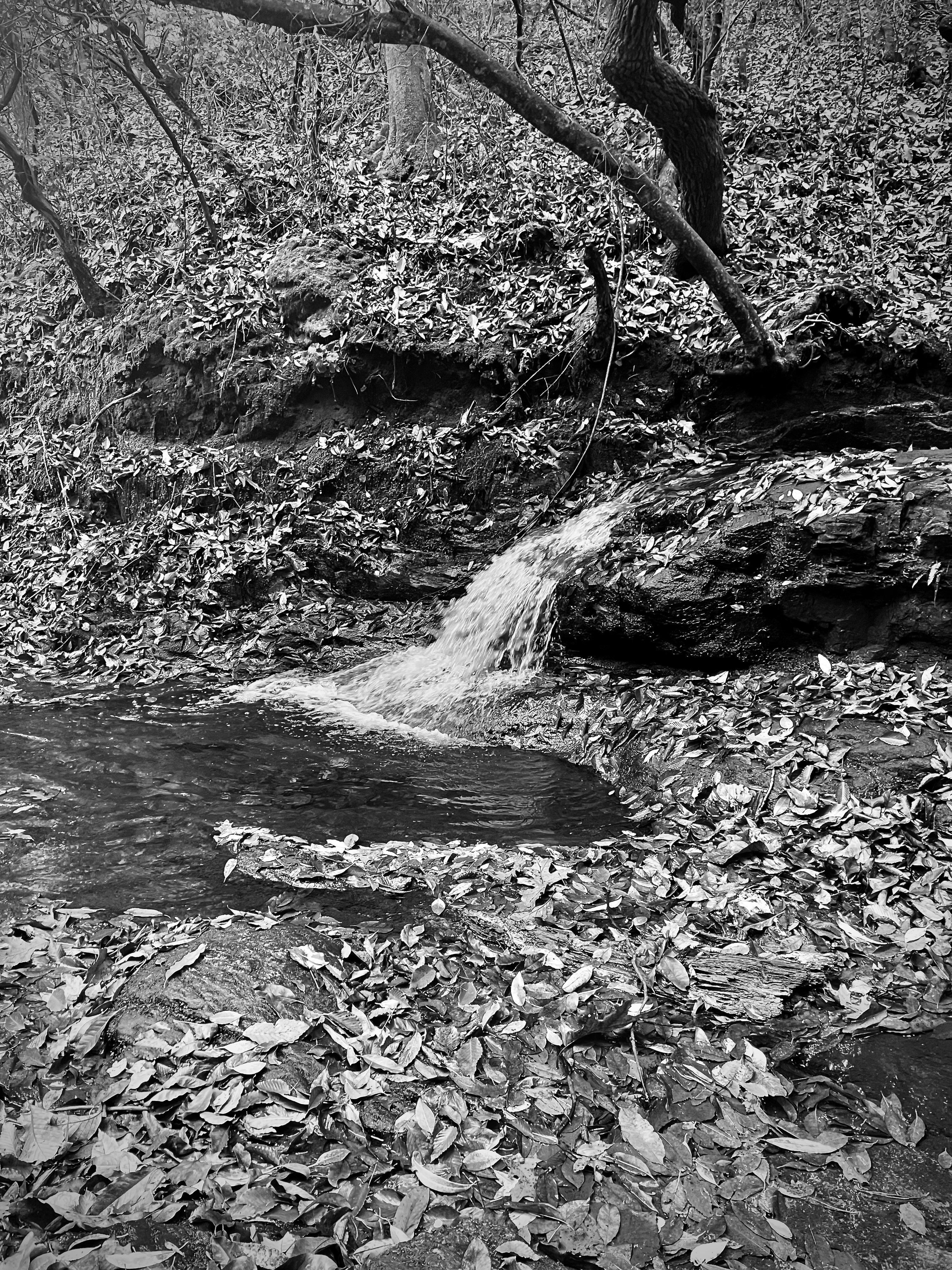 Photo by micahhughes