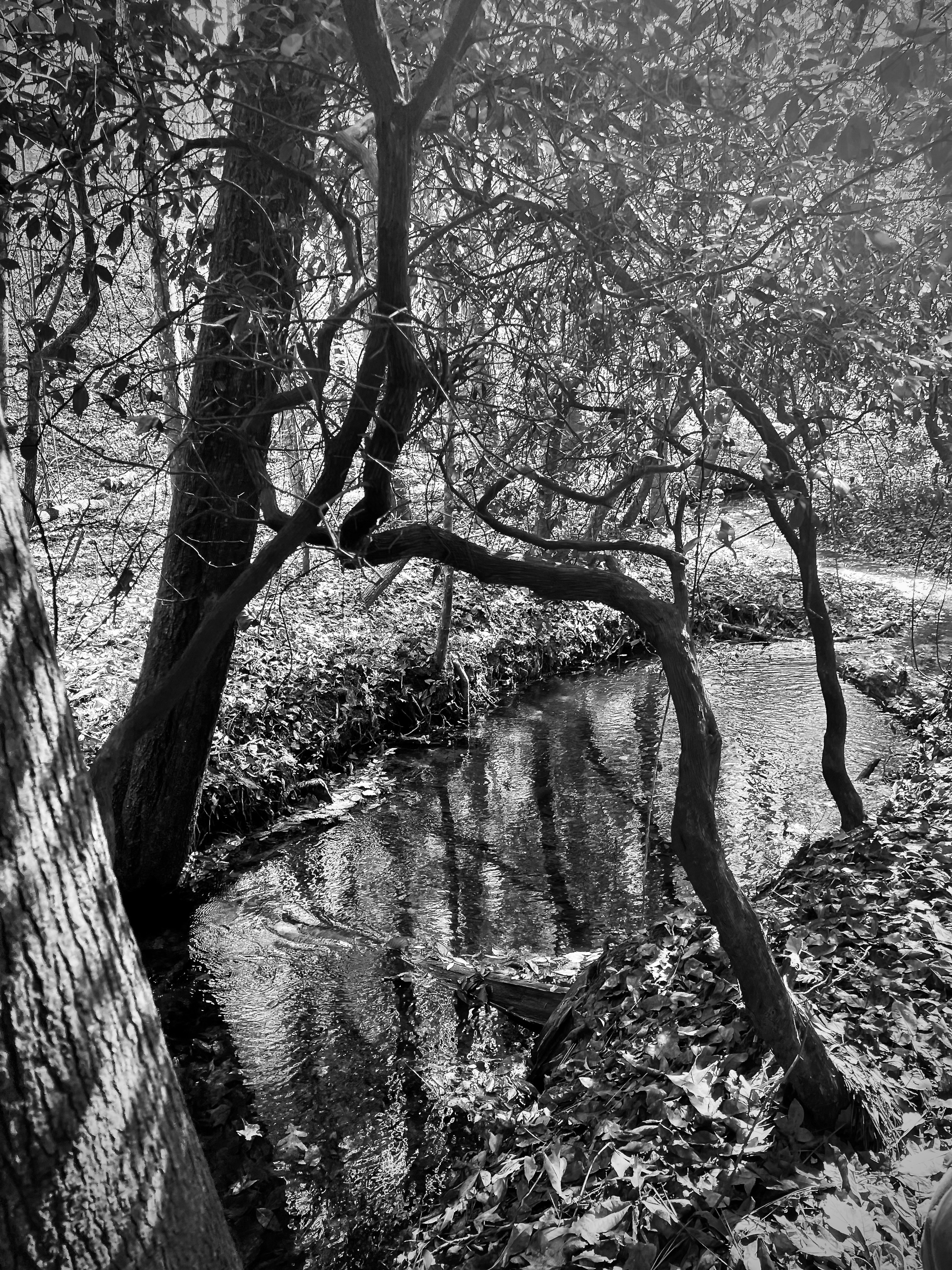 Photo by micahhughes