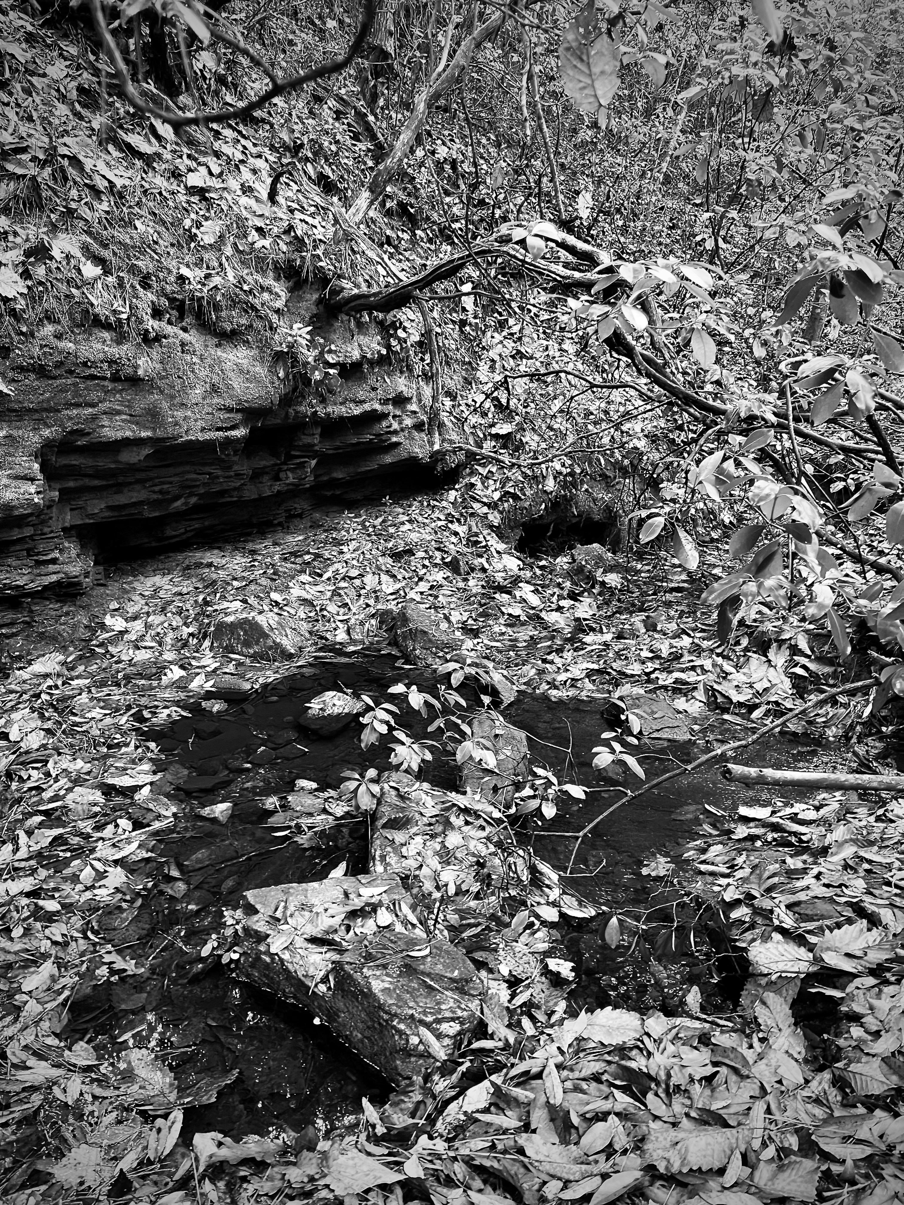 Photo by micahhughes