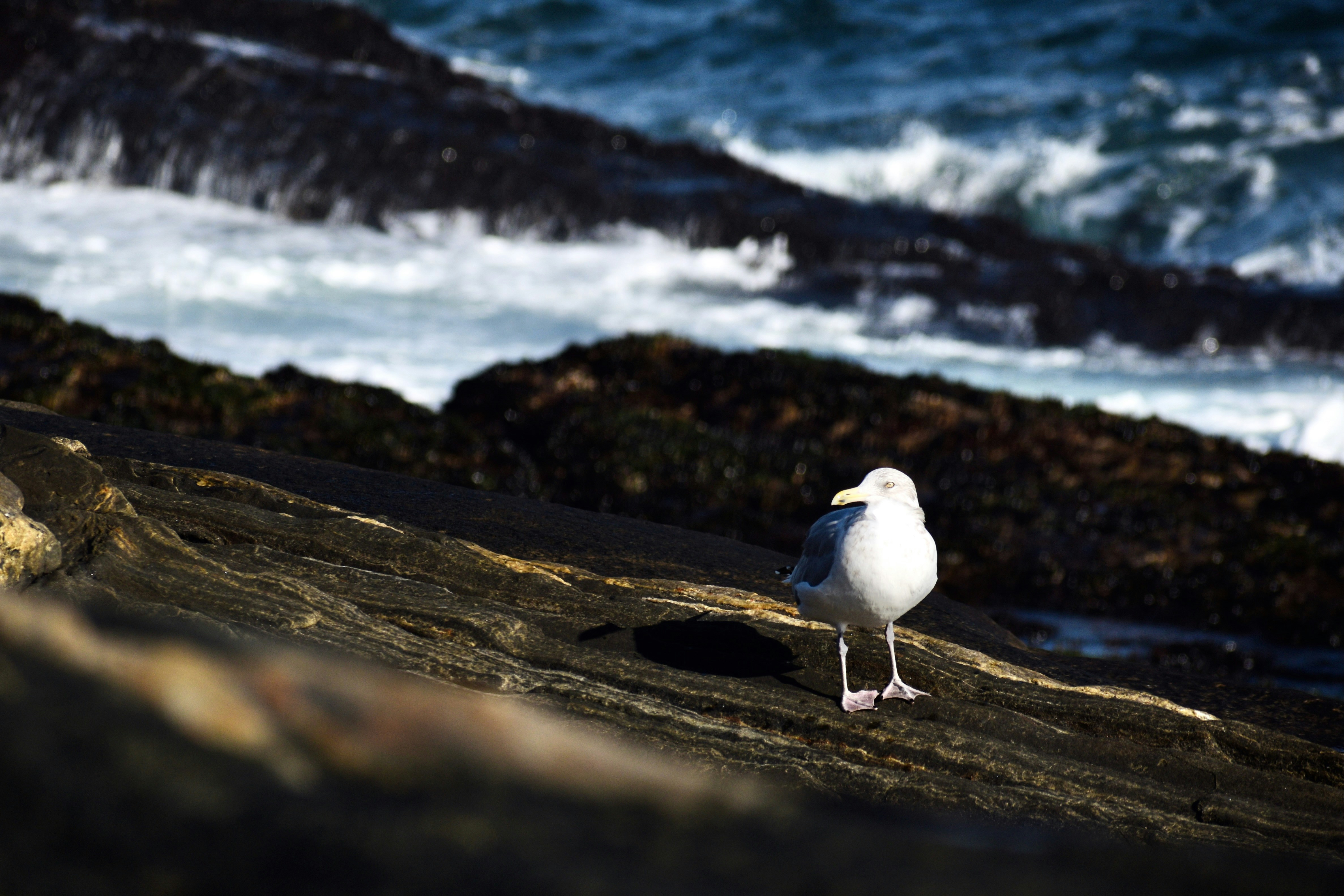 Photo by kellybrookme