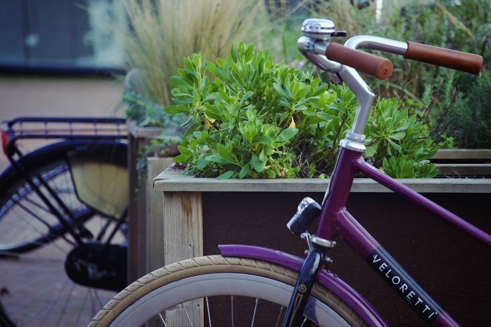 a pink bike with a plant on the handlebars