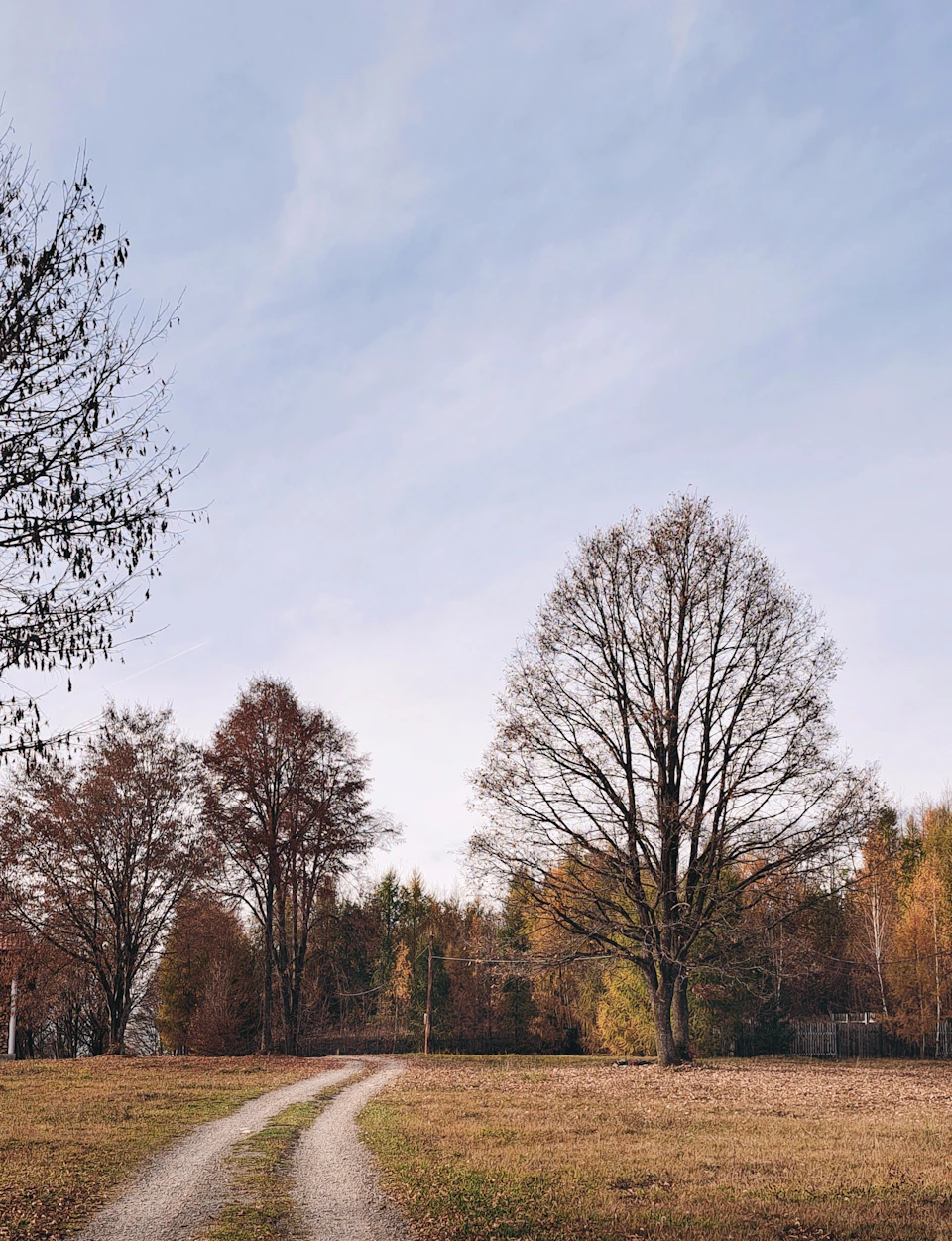 The image depicts a serene autumn scene with a dirt road winding through a lush, grassy field dotted with trees and bushes. The sky above is a clear blue, providing a beautiful backdrop to the vibrant colors of the changing leaves on the trees. The perspective of the photo is from ground level, looking down the road towards the horizon line where the sky meets the earth.

There are no discernible texts or countable objects in the image.
