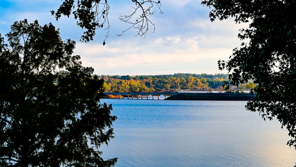 a body of water with trees around it