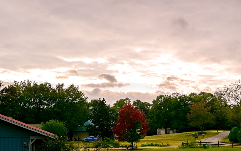 a colorful sky over trees and a house