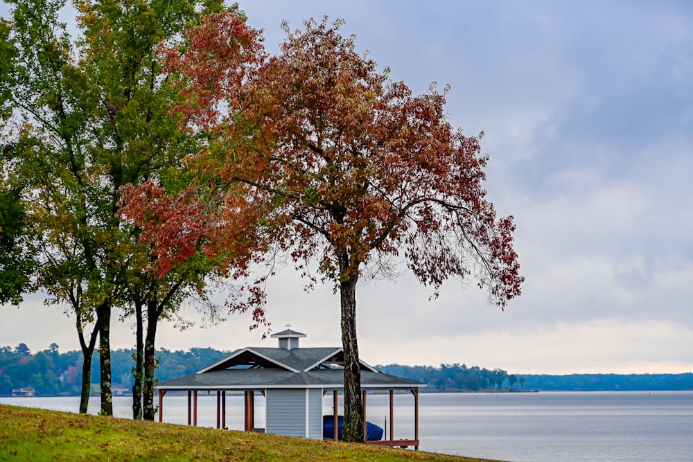 a house next to a body of water