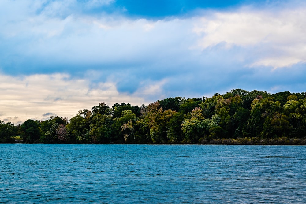 a body of water with trees on the side