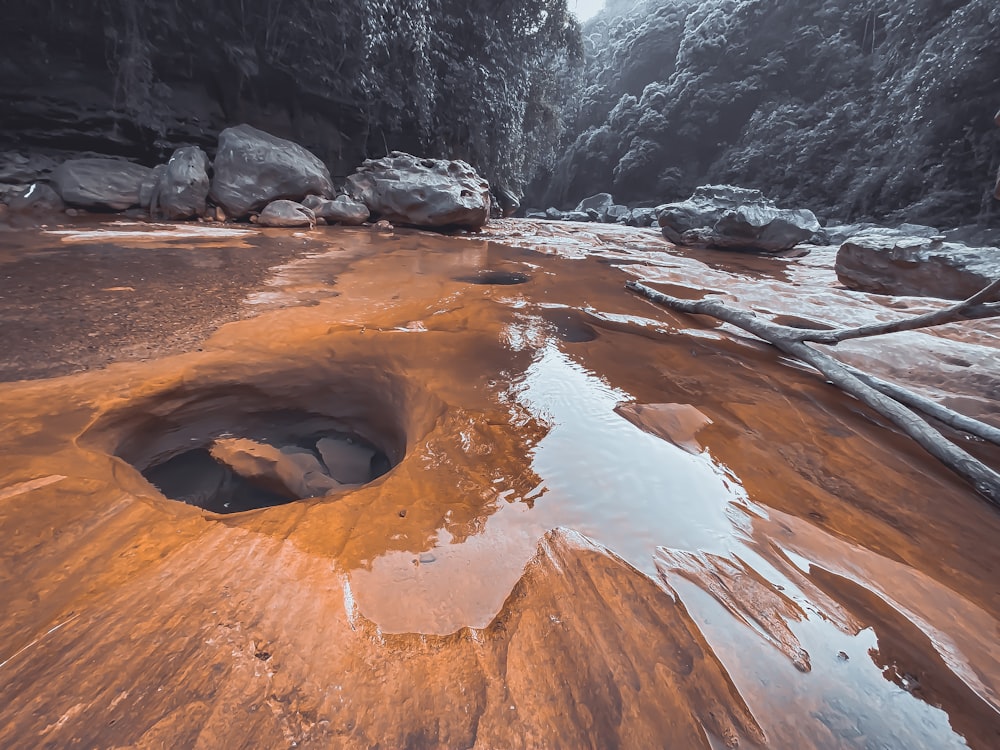 a rocky river bed