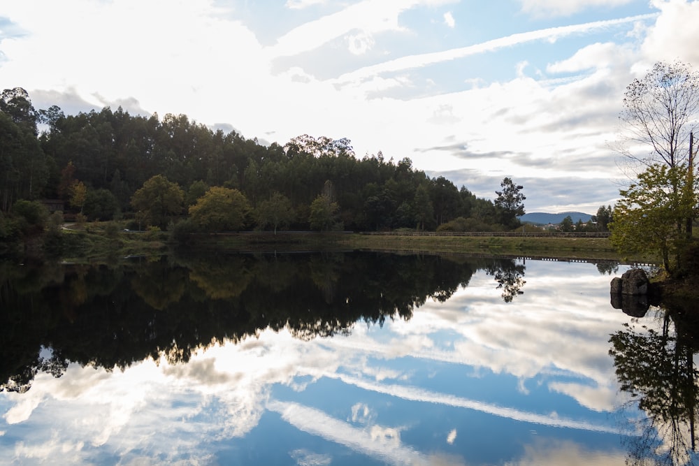 a body of water with trees around it