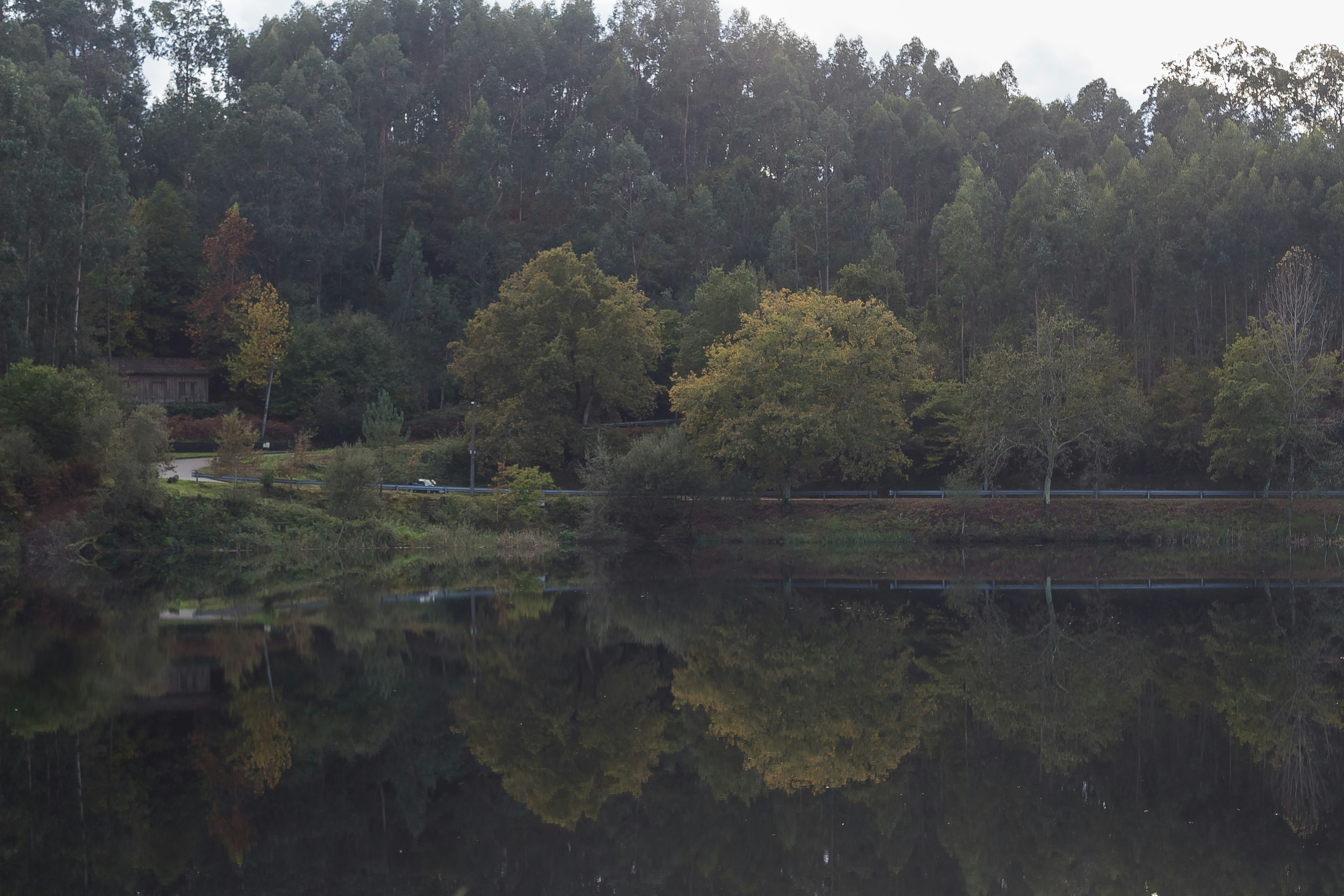 Photo by asfotosde1enorme