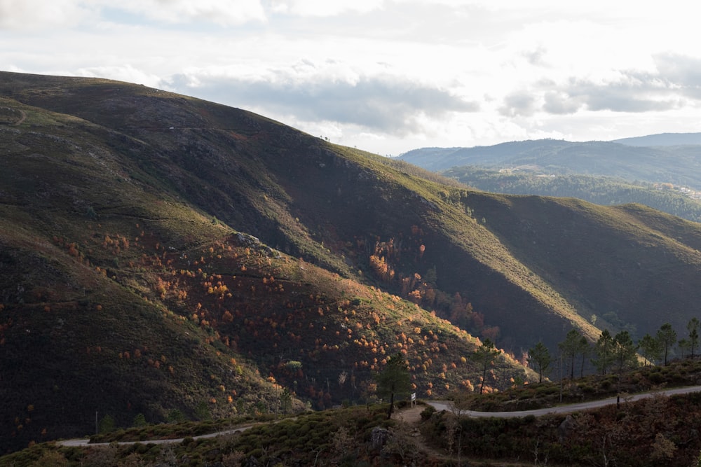 Un camino que atraviesa un valle