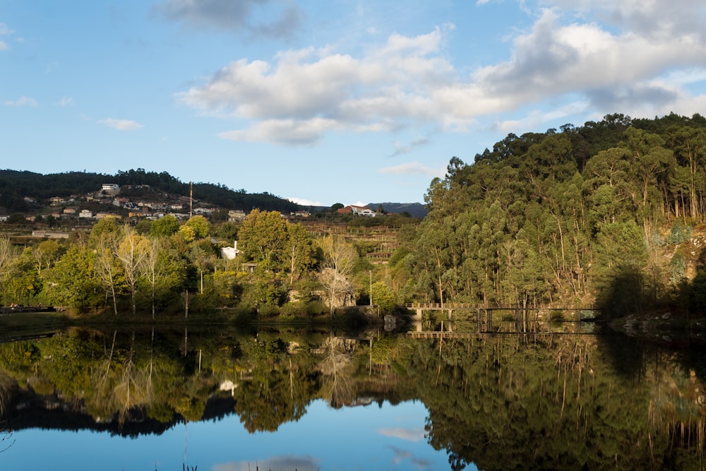 a body of water with trees and hills around it