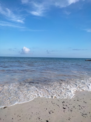 The image features a tranquil beach scene with gentle waves lapping against the sandy shore. The sky is mostly clear with few clouds, and the water reflects the blue of the sky. Small bits of seaweed are scattered along the sand, adding texture to the otherwise pristine scene.