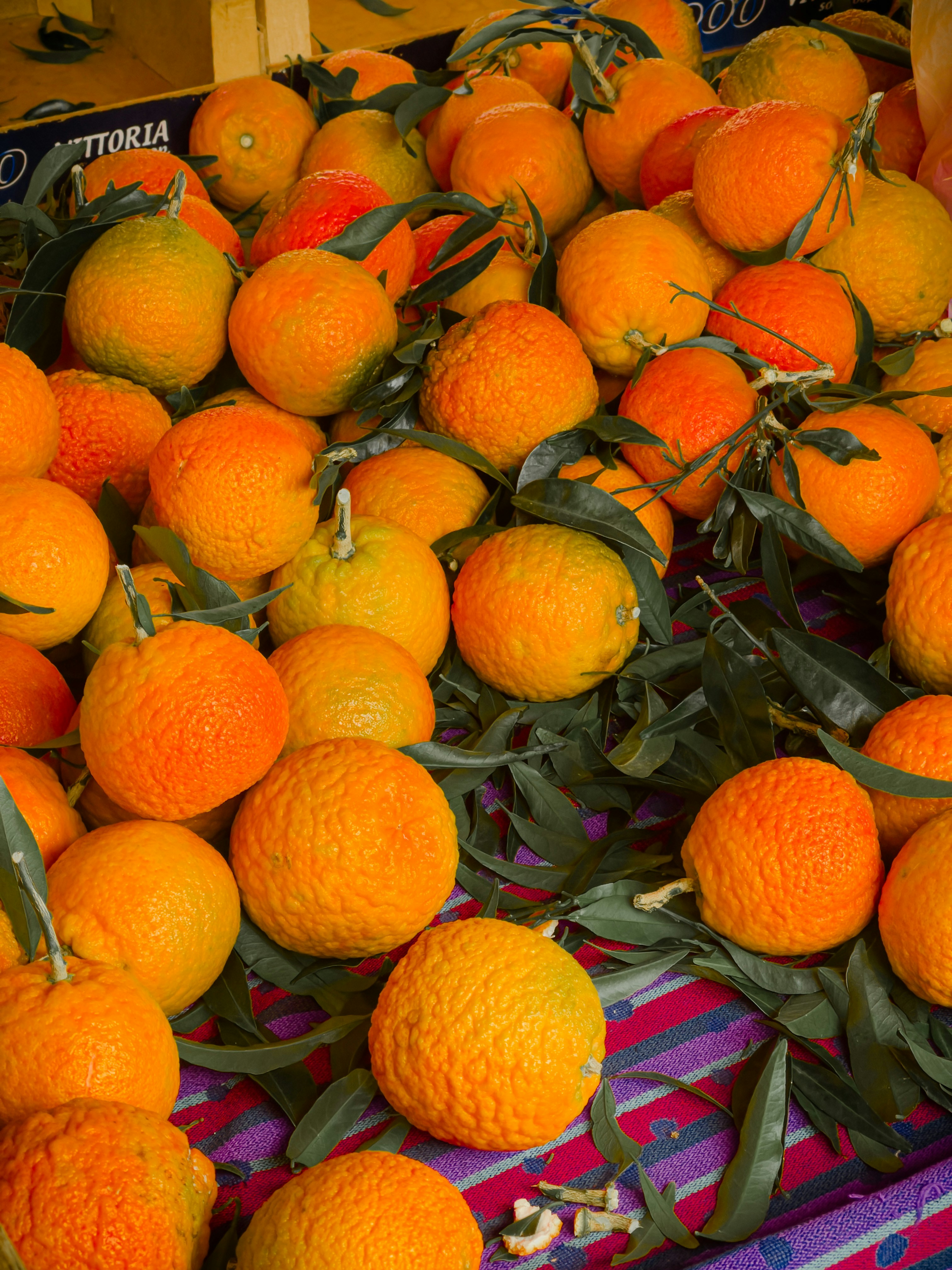 Photo by dimitrofrantz