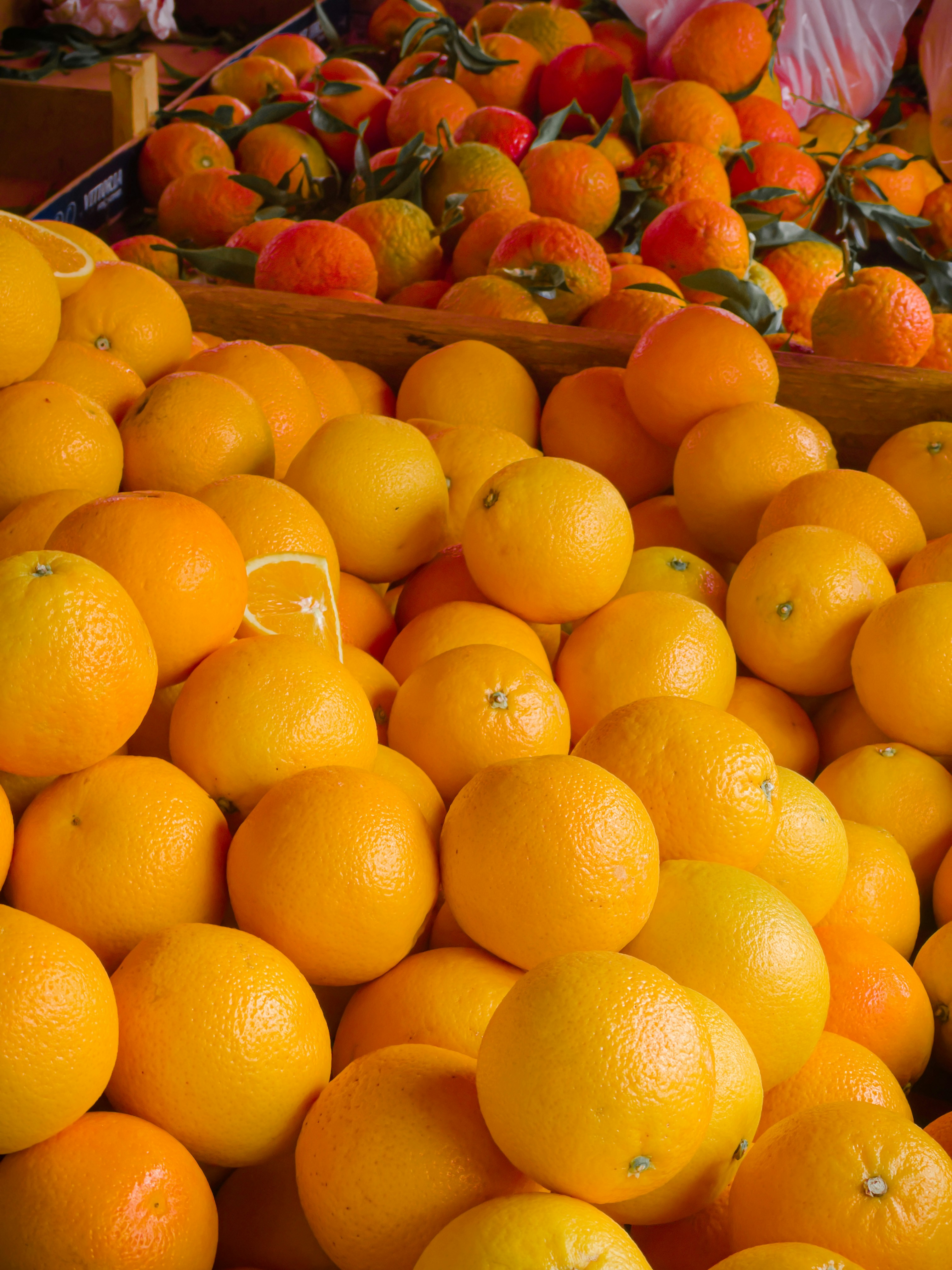 Photo by dimitrofrantz