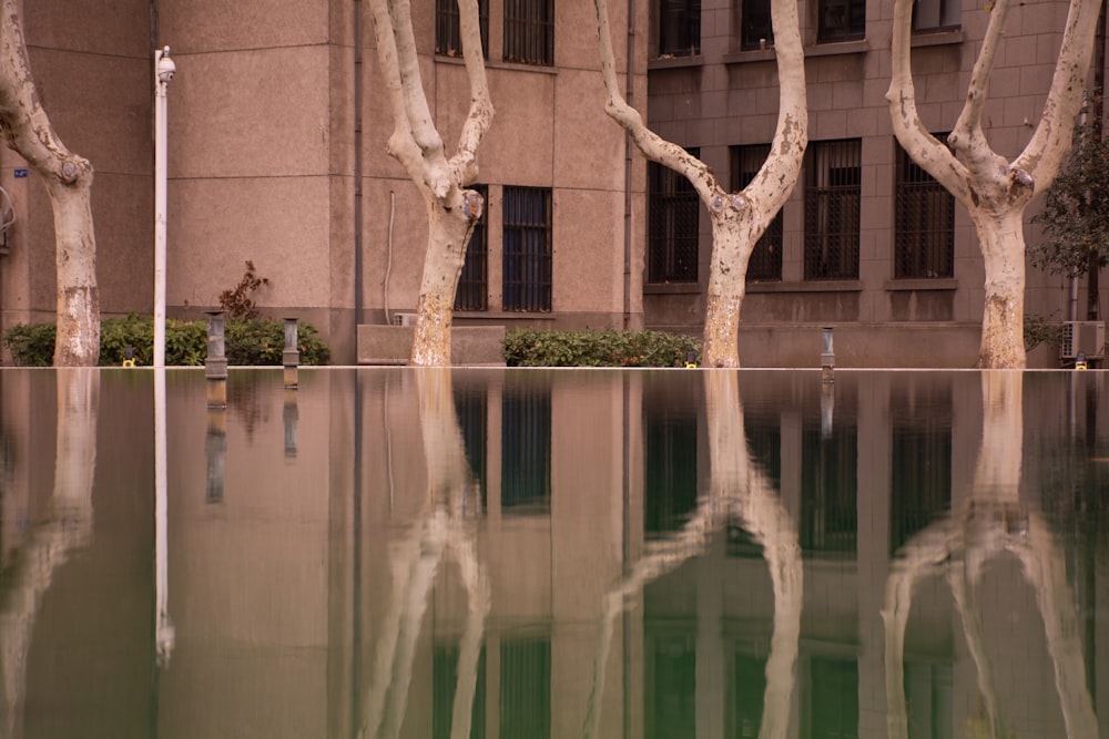 a building with trees and water in front of it