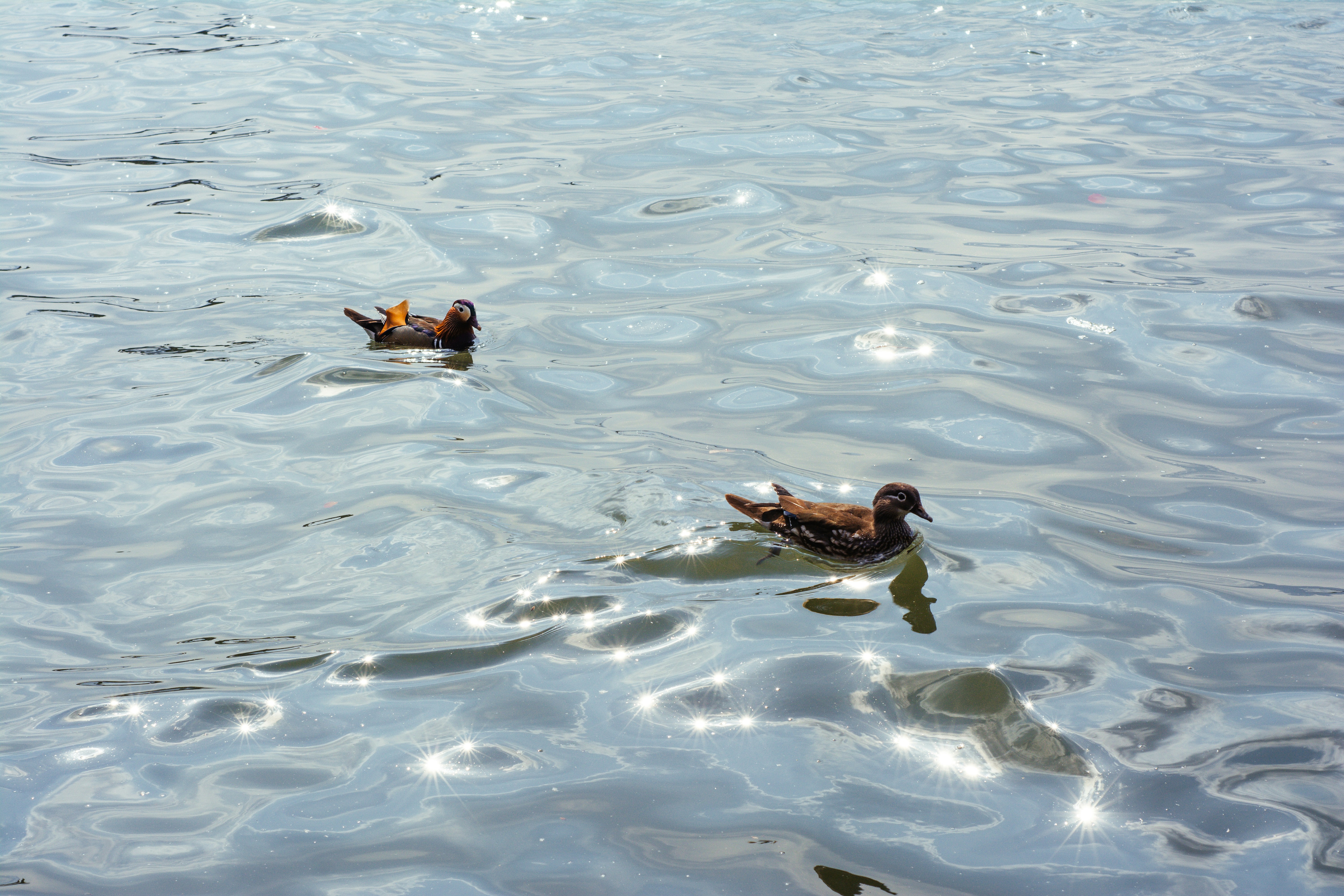 Photo by moononmoons