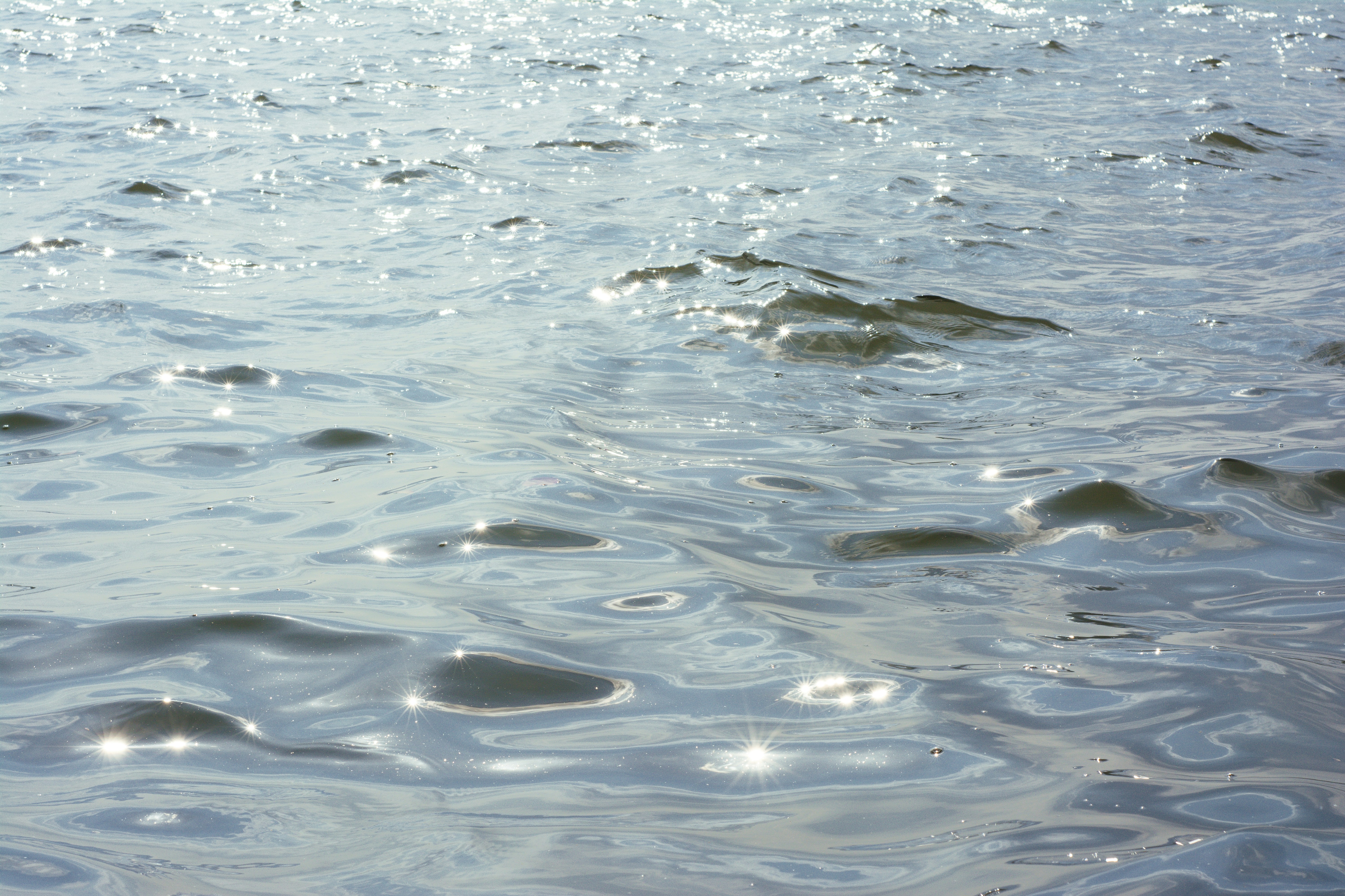 Photo by moononmoons