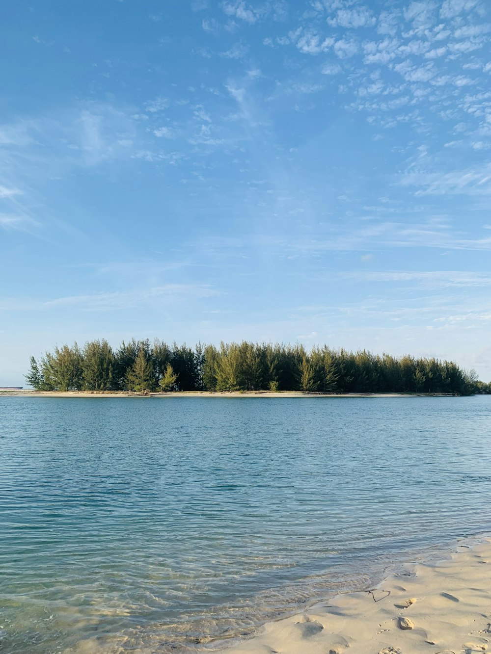 a body of water with trees in the background