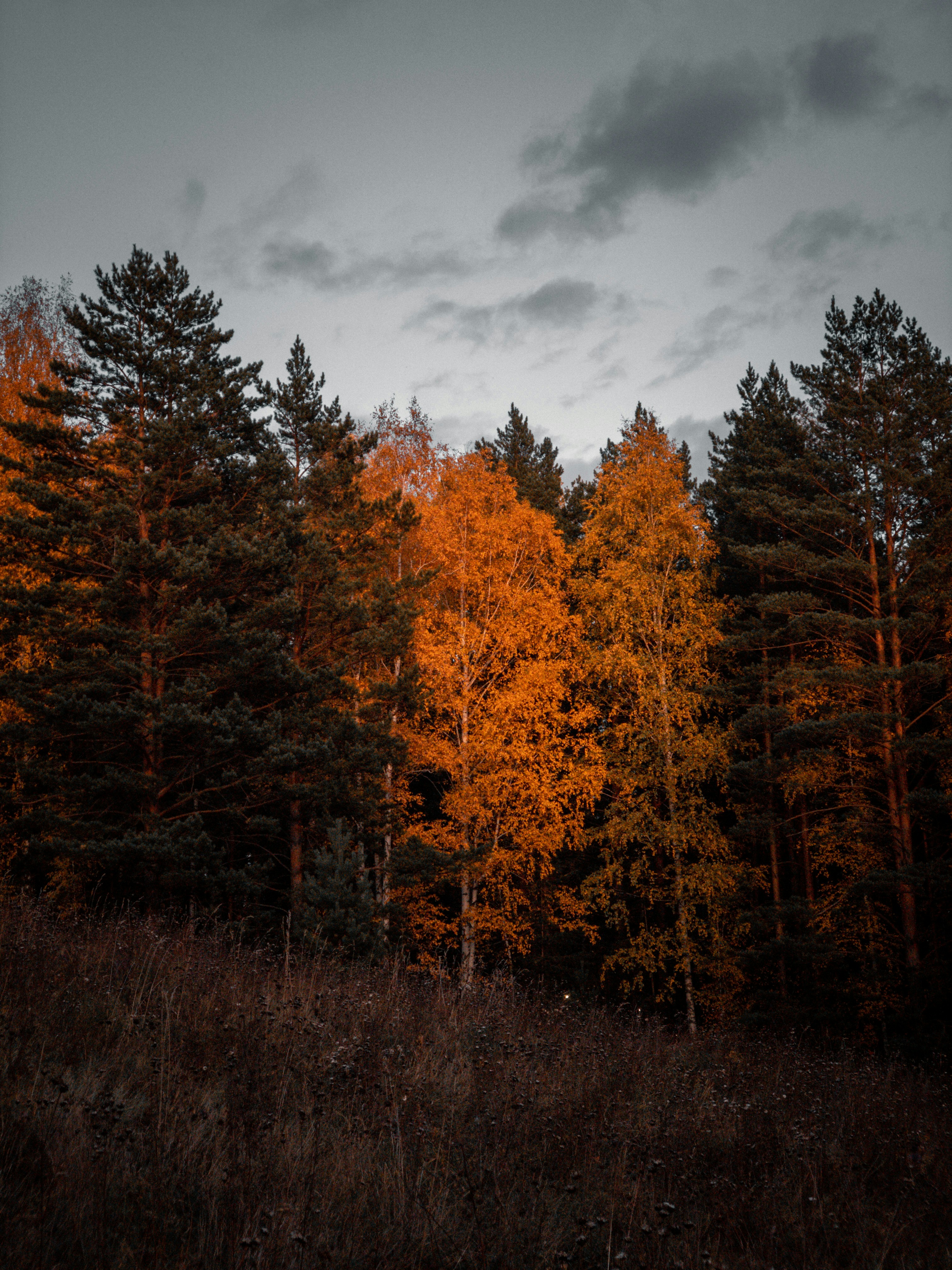 Photo by ivan_primestars