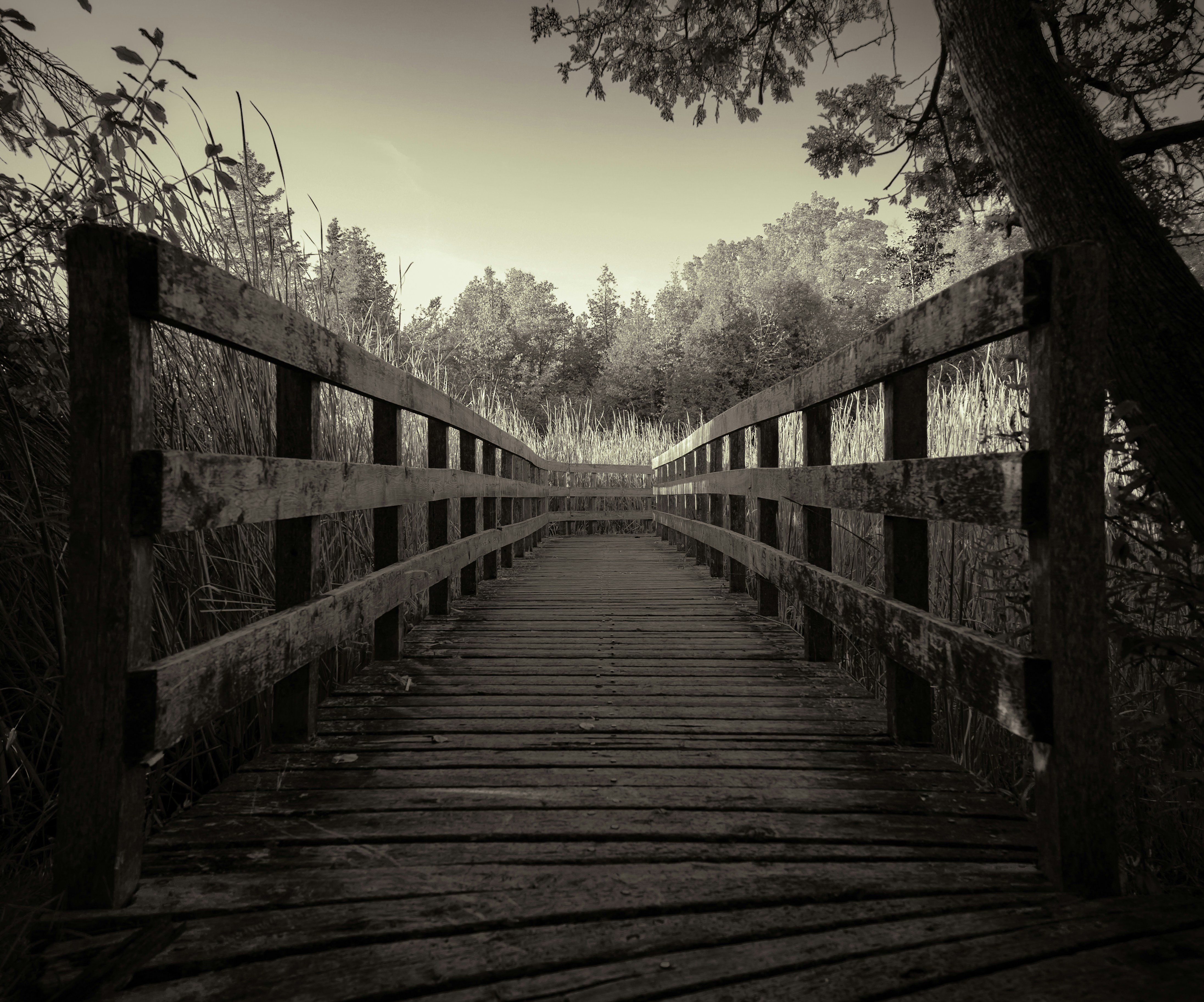 Photo by photo_novice_san