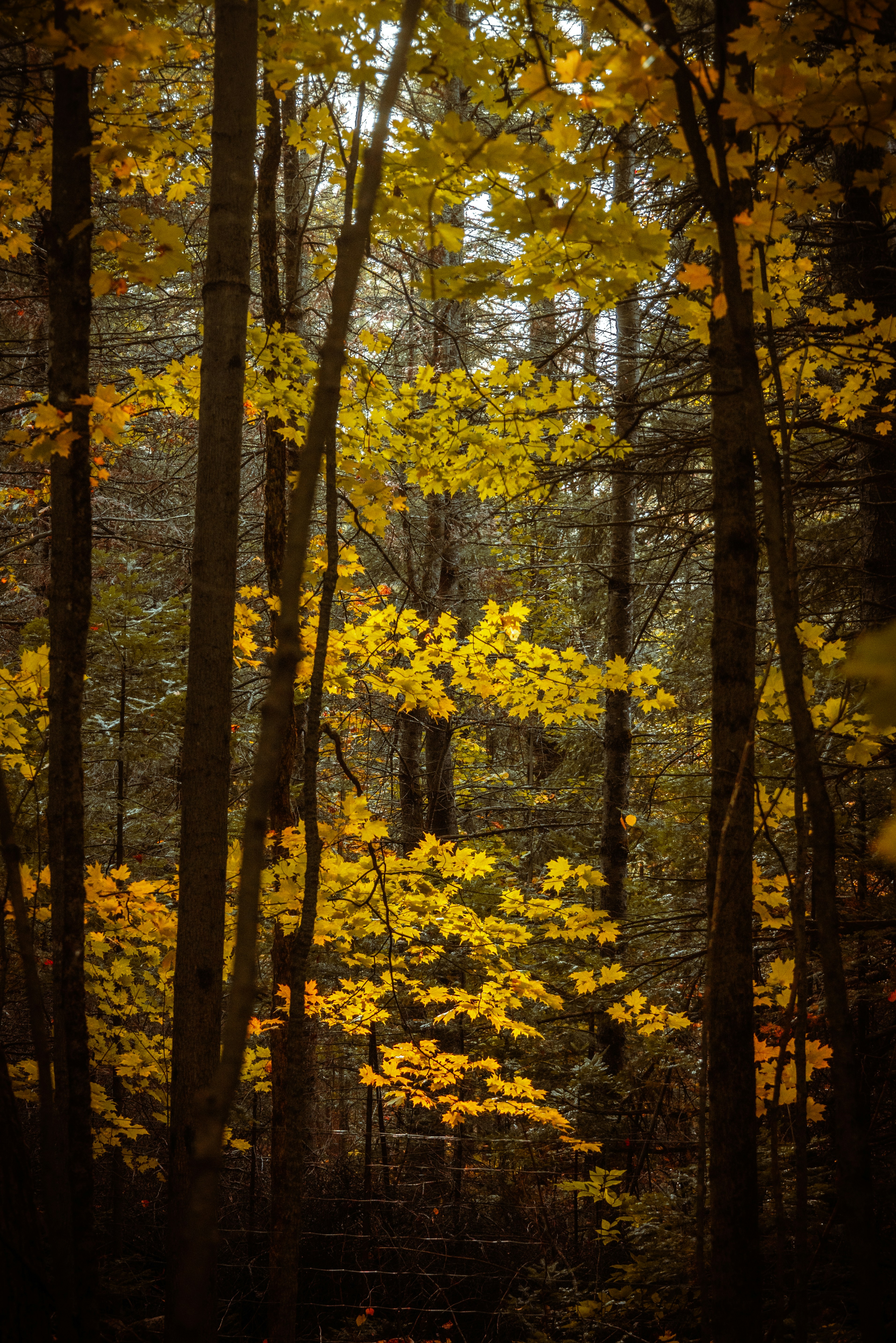 Photo by photo_novice_san