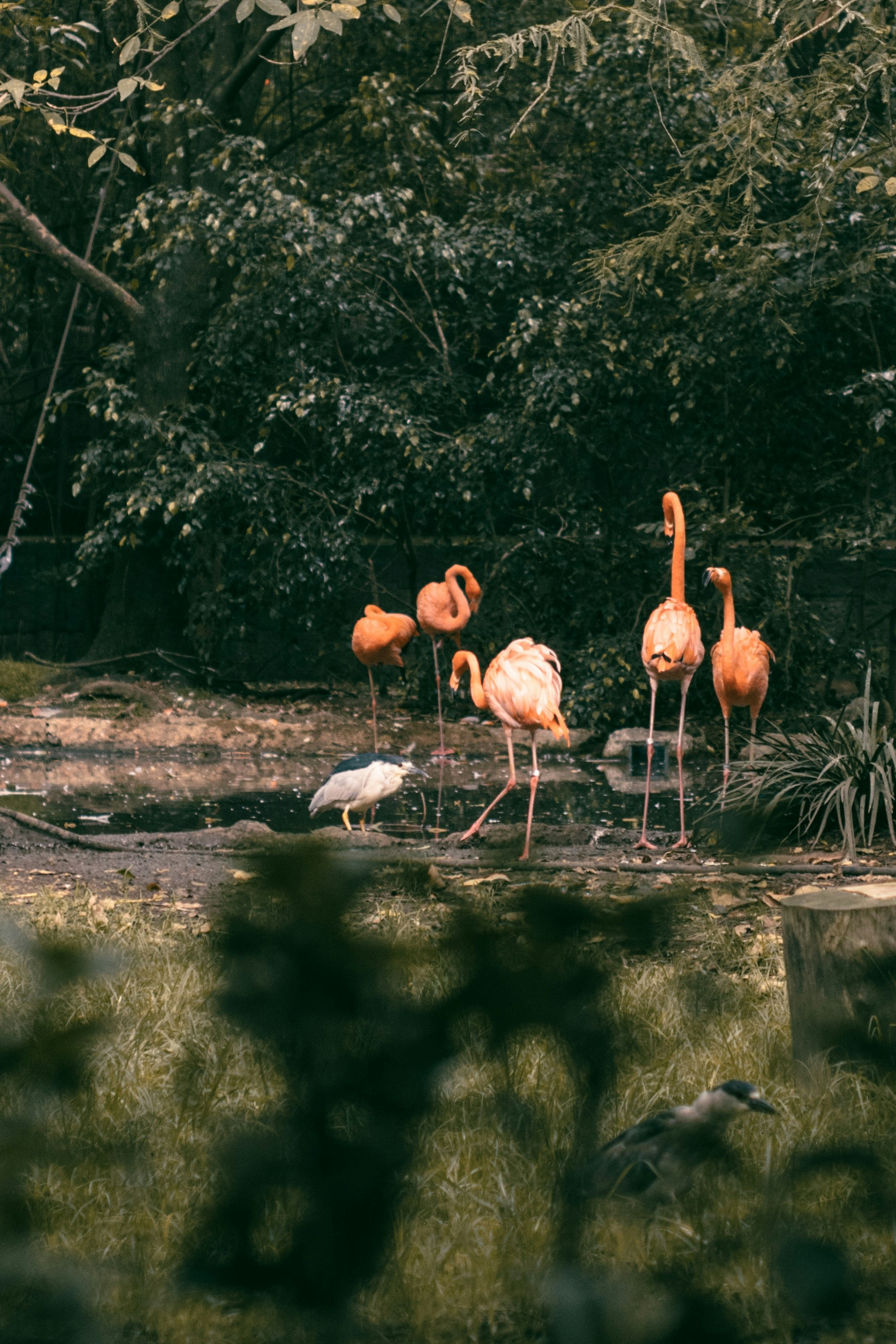 Photo by csarespejel