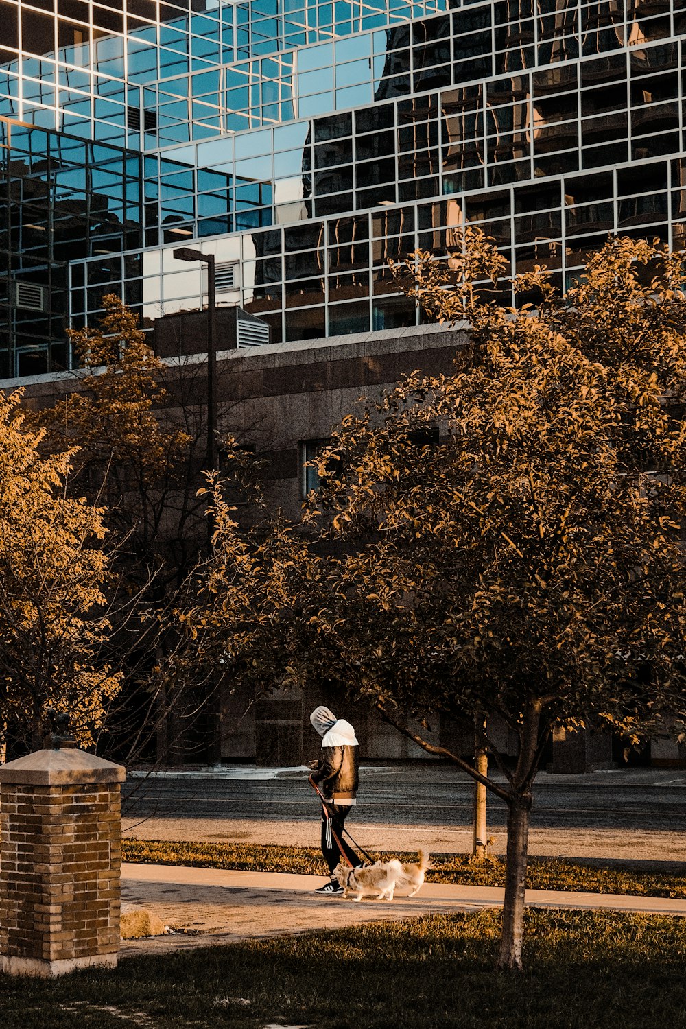 a person walking a dog