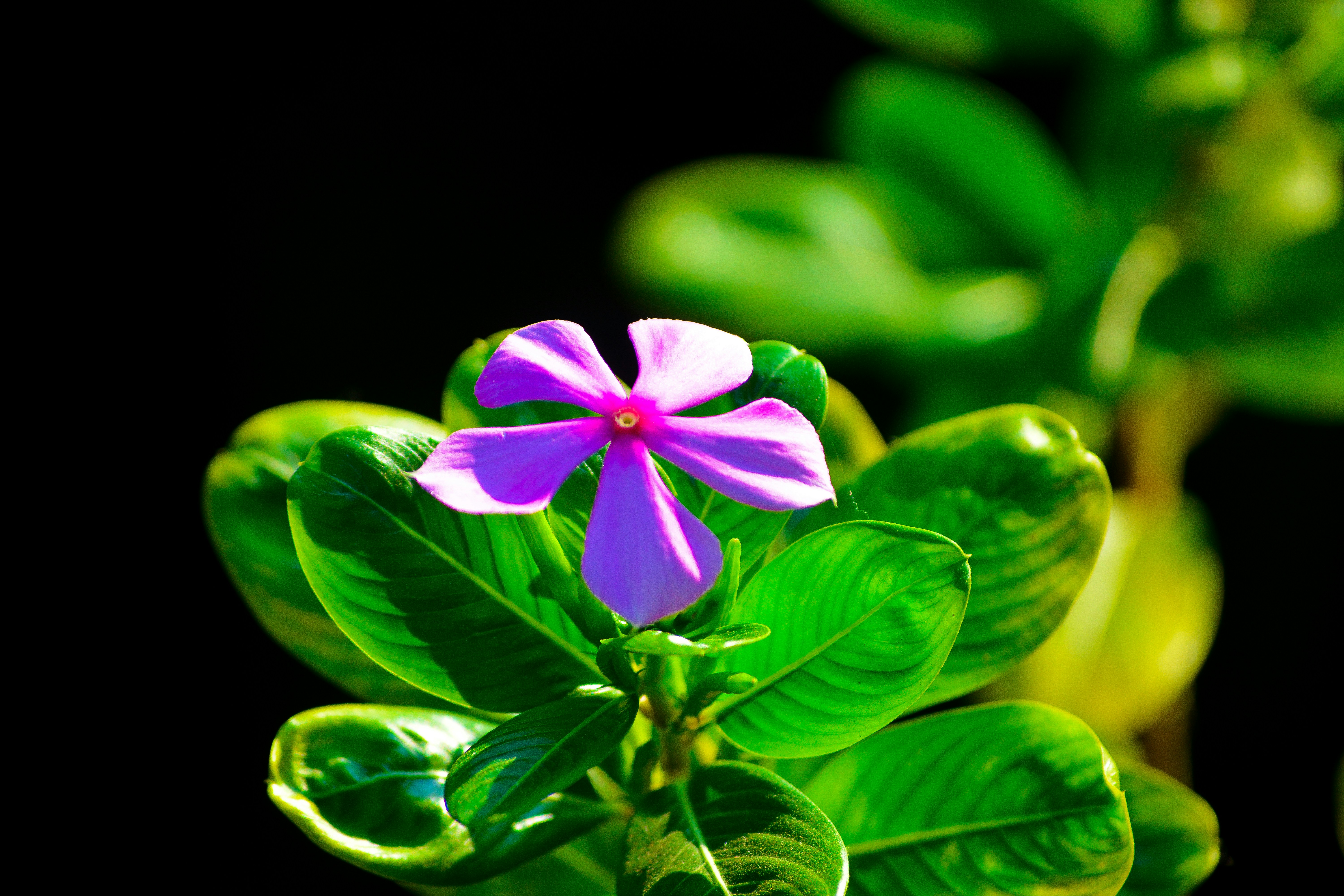 Photo by bimoldas