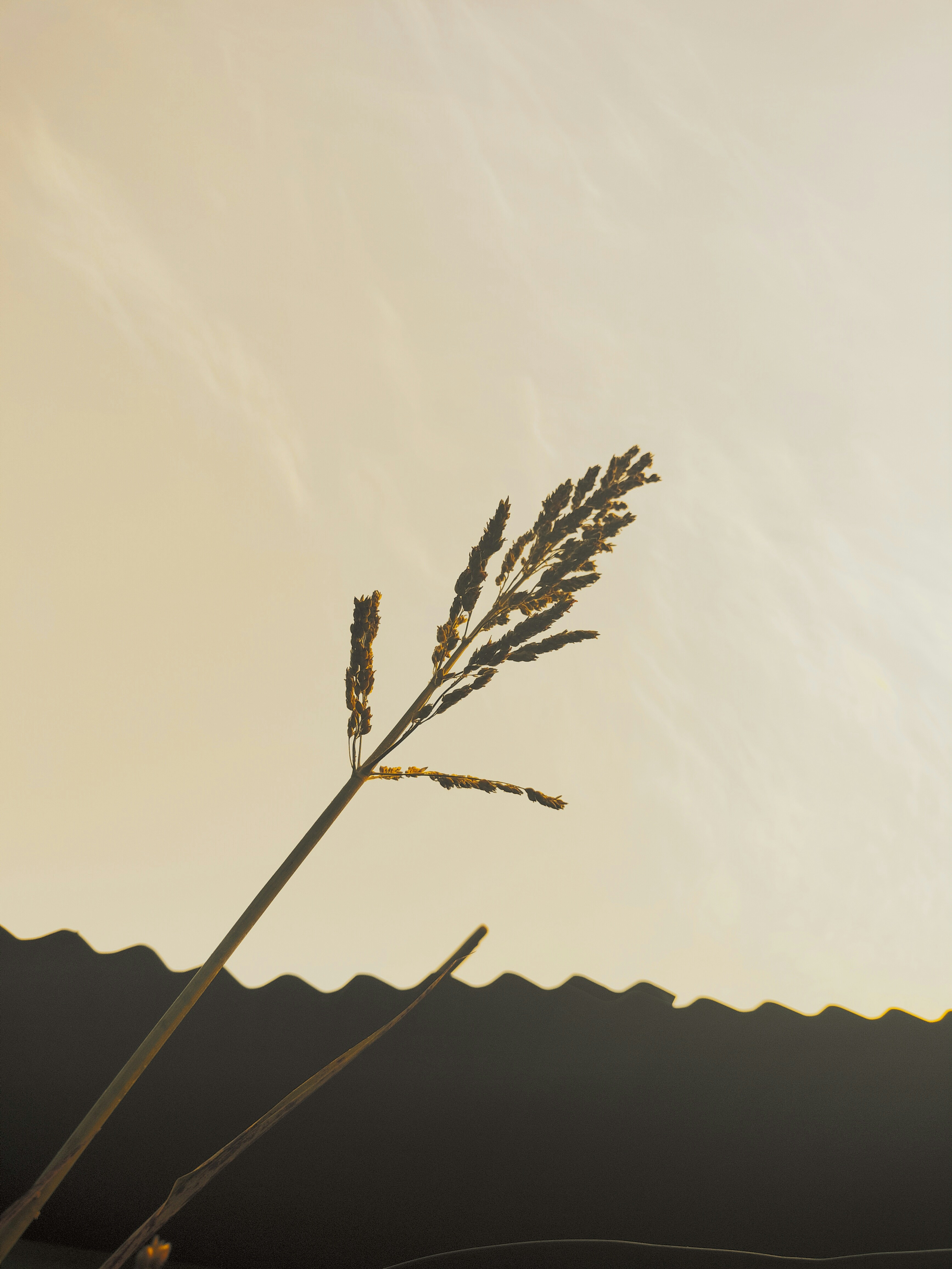 Photo by mandar_0261