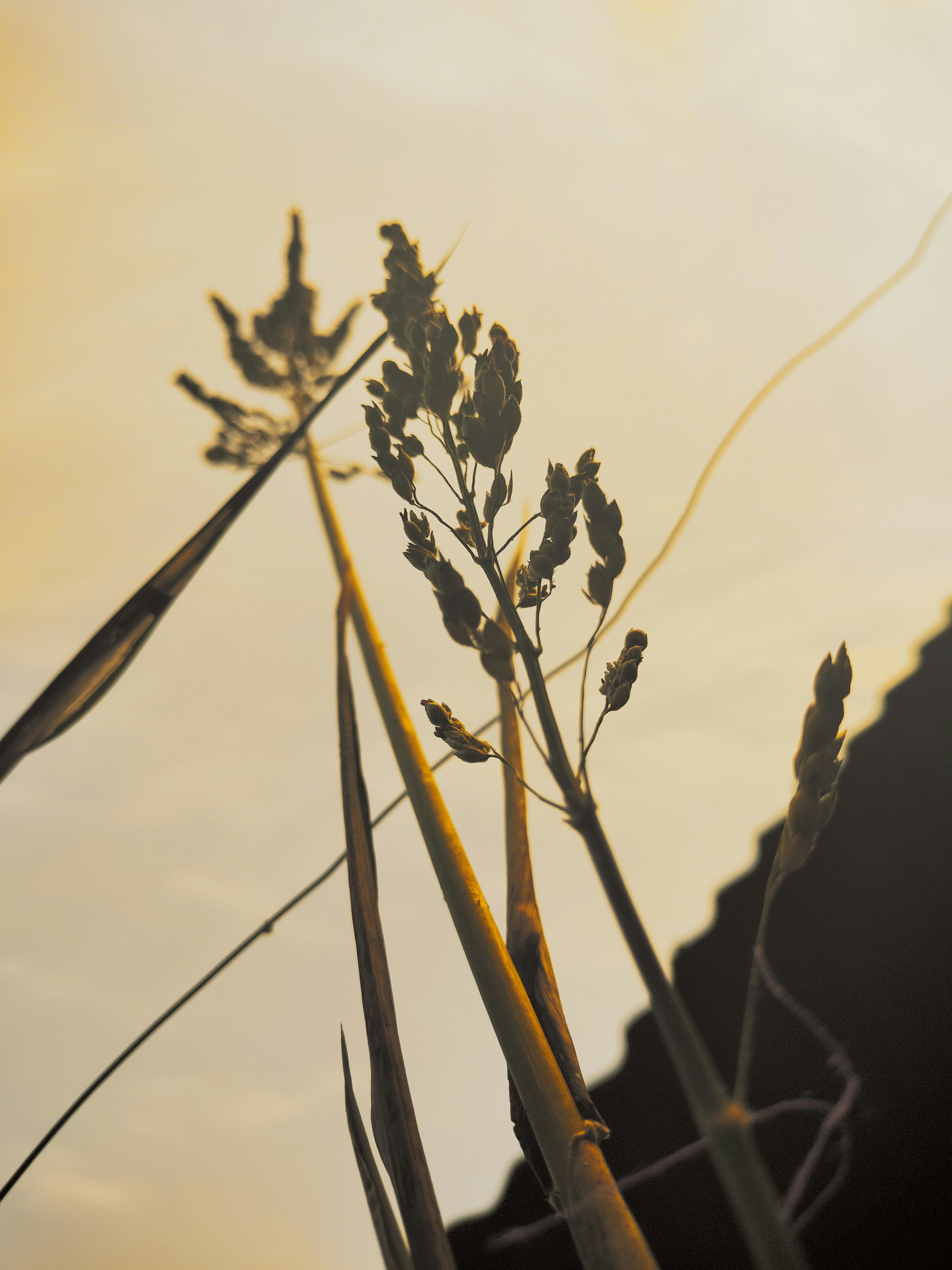 Photo by mandar_0261