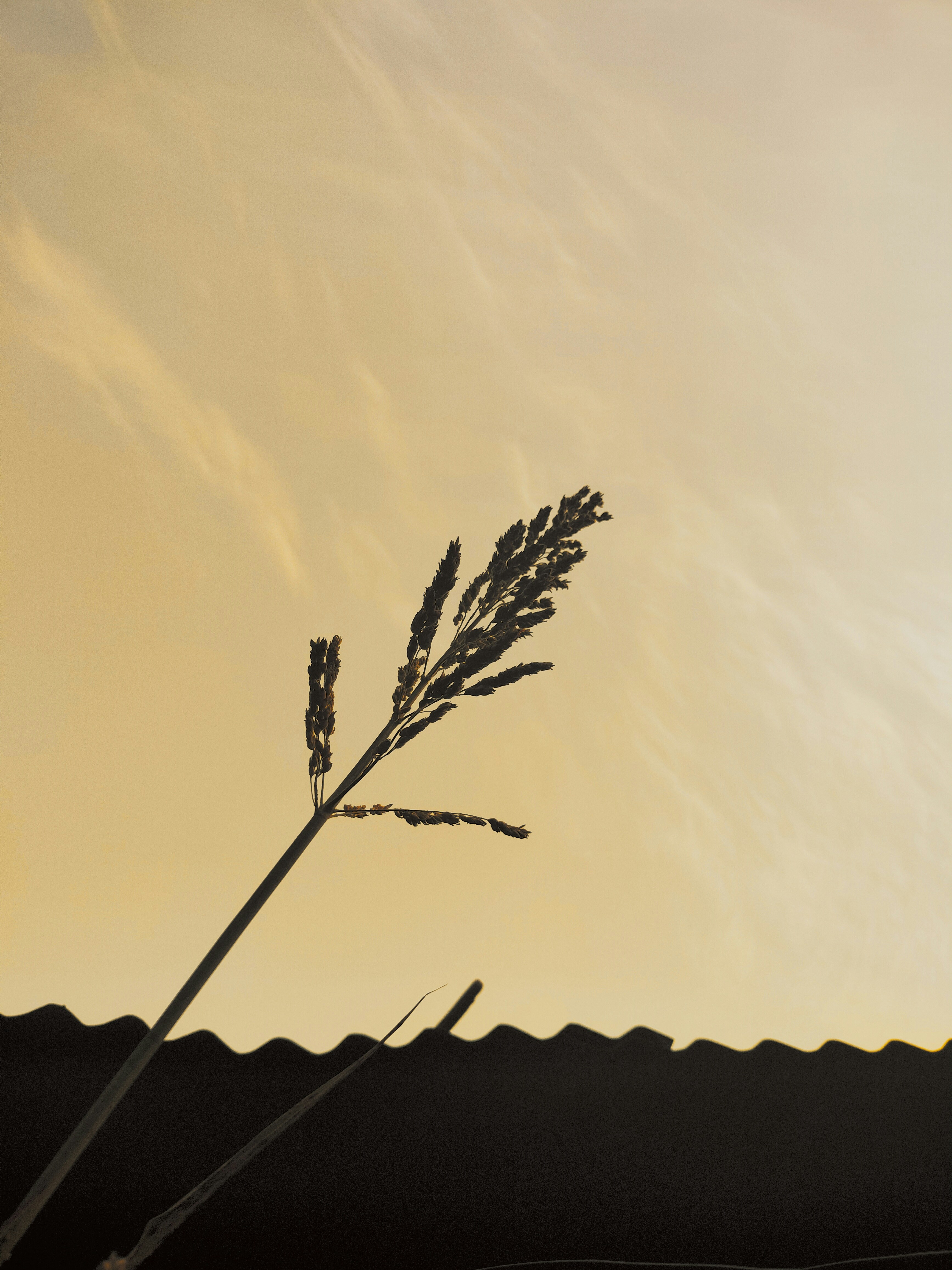 Photo by mandar_0261