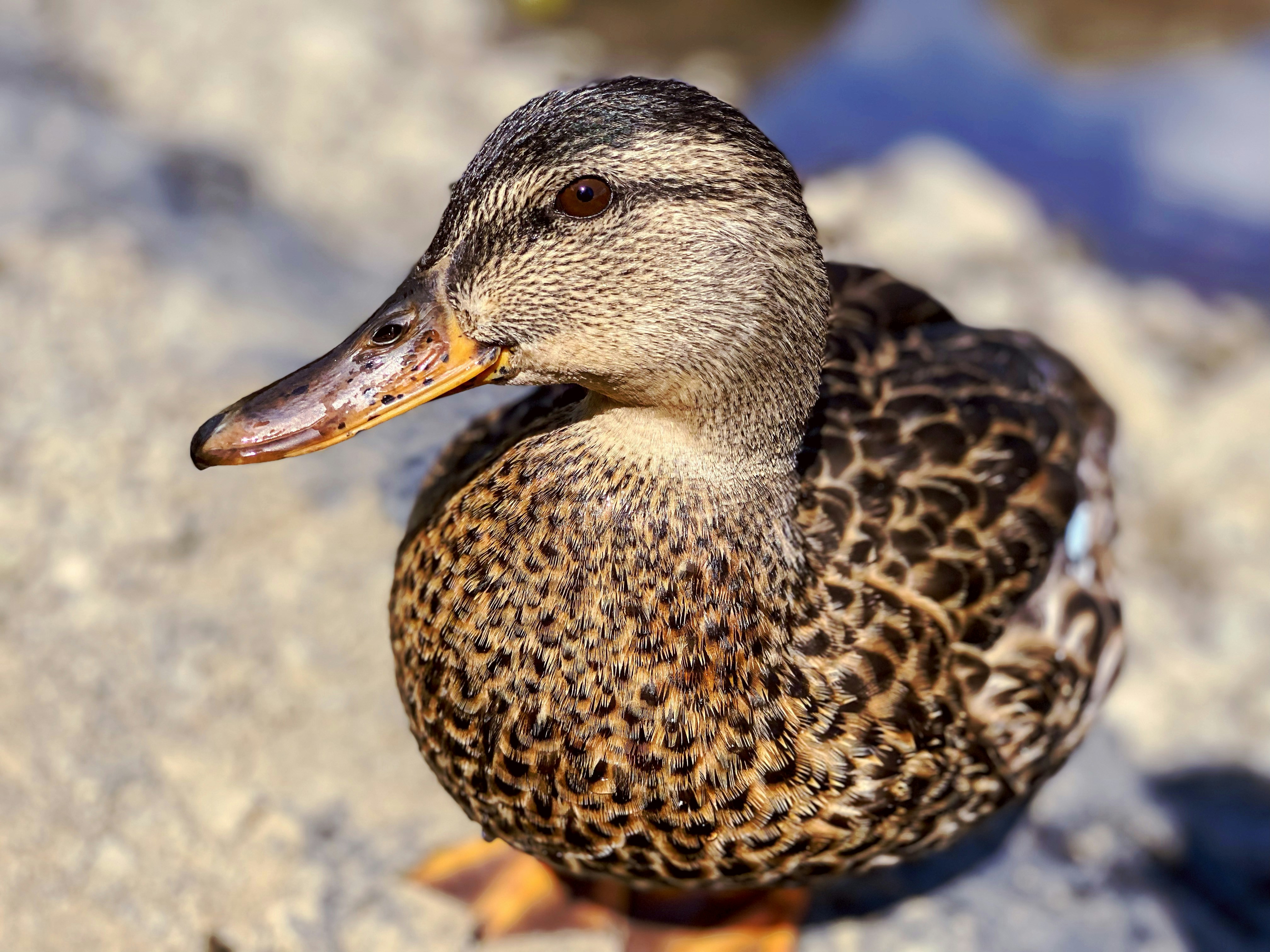 Photo by whyillumination