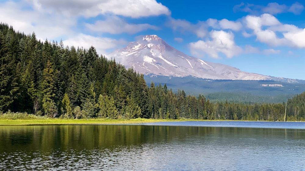 a lake with trees and a mountain in the background