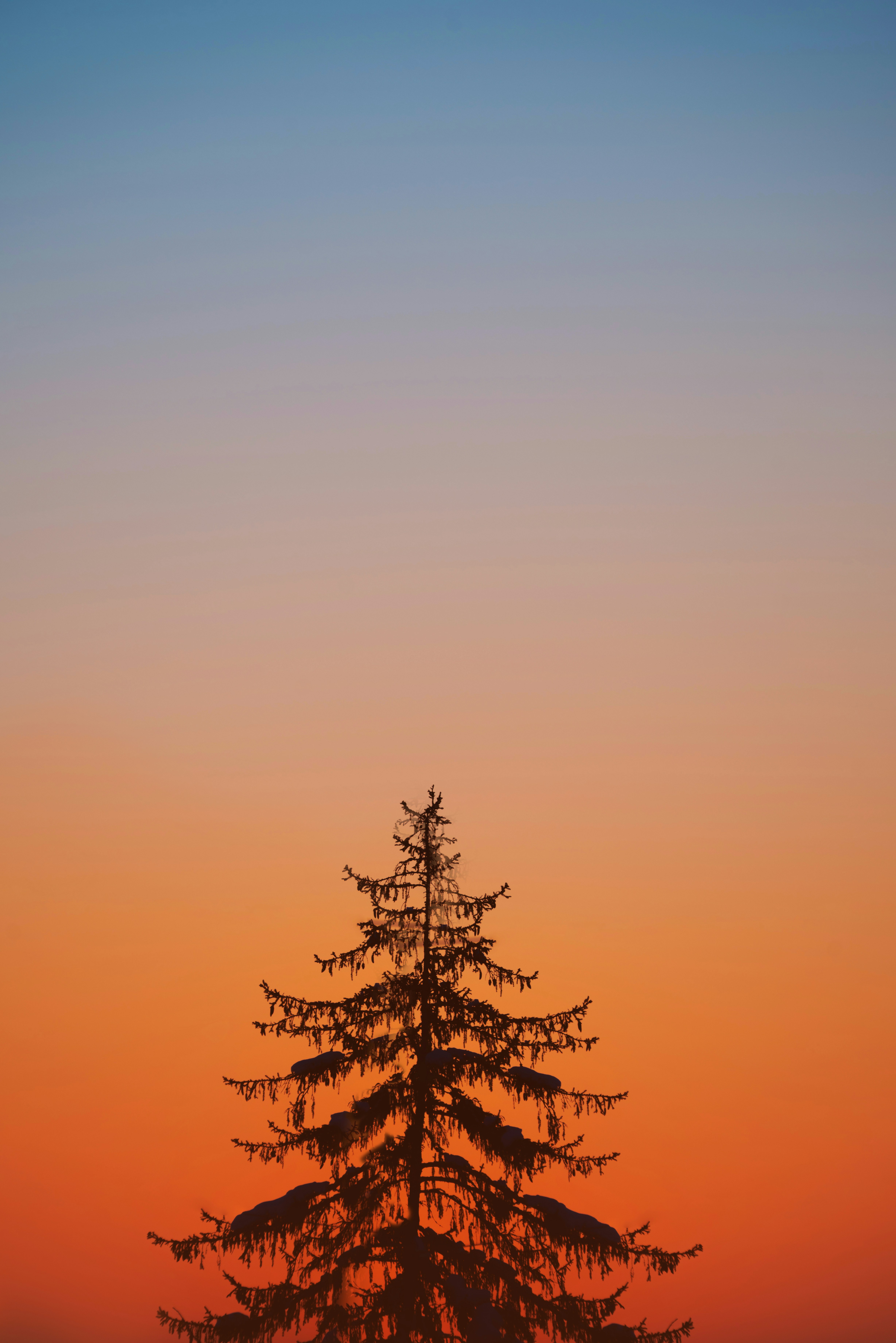 Photo by anitaaustvika