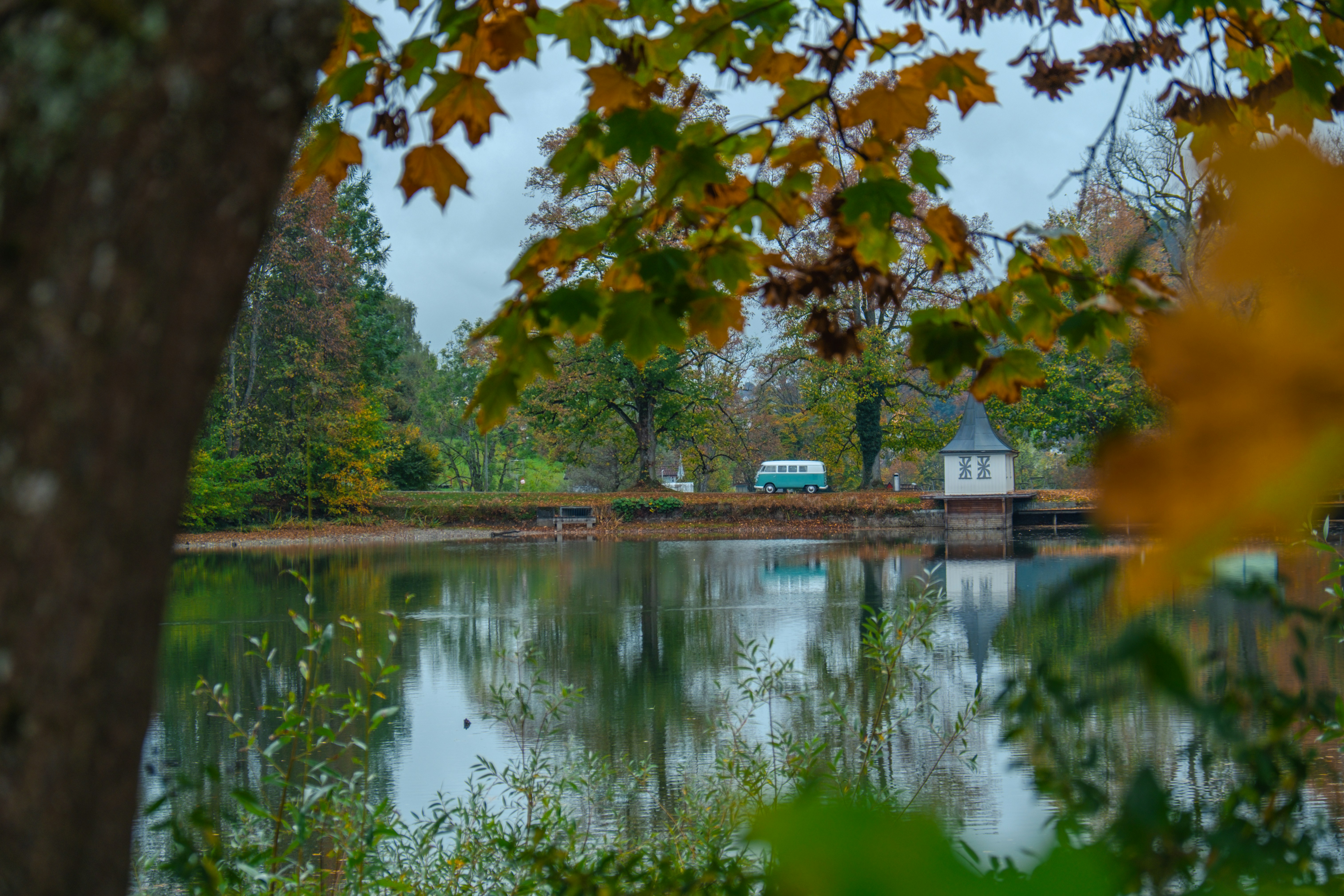 a lake with trees around it