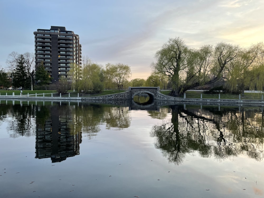 a body of water with a bridge and trees around it