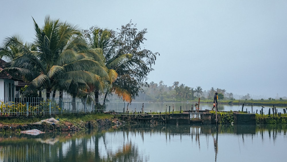 a body of water with trees and a fence around it