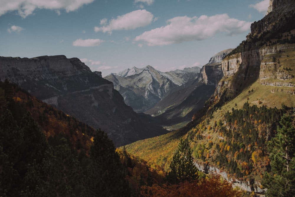 a valley between mountains