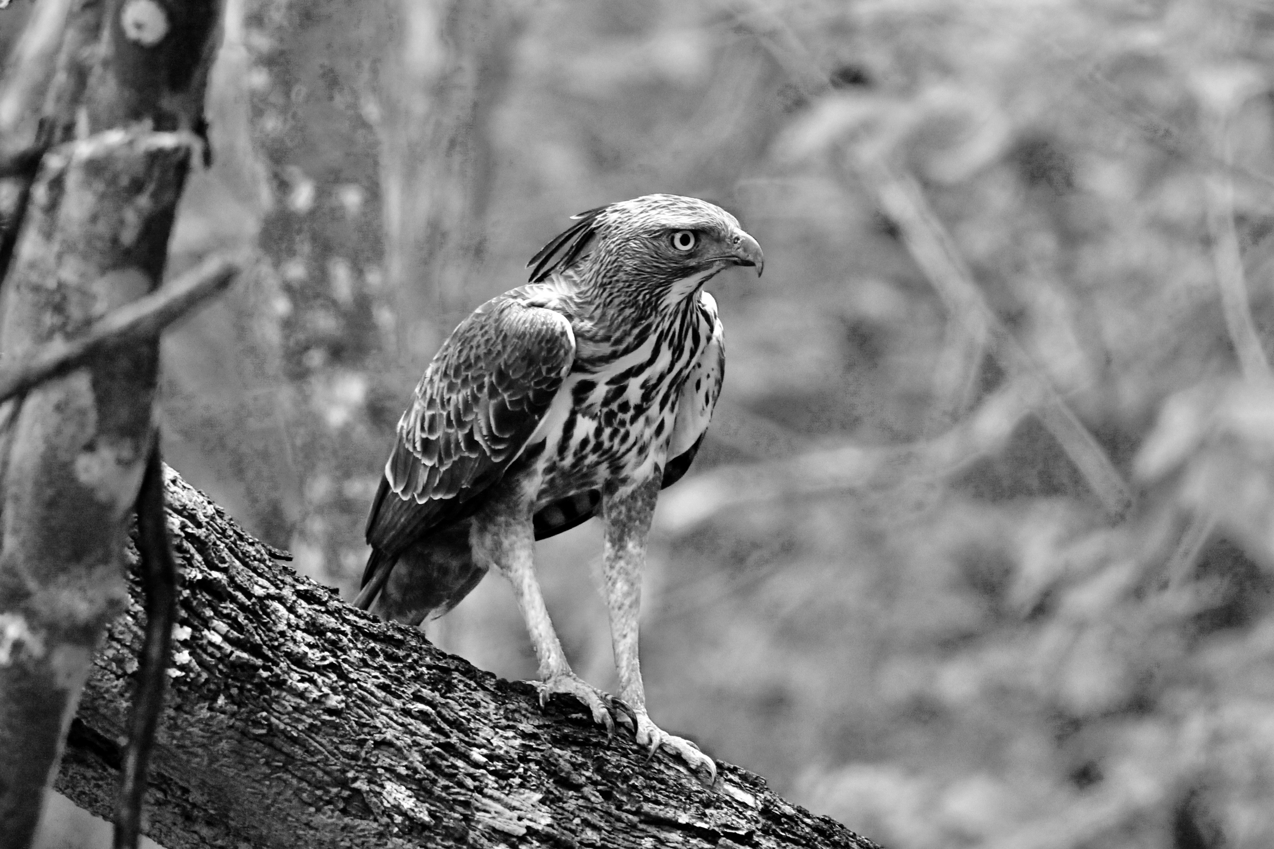 Photo by uravrgphotographer_2611