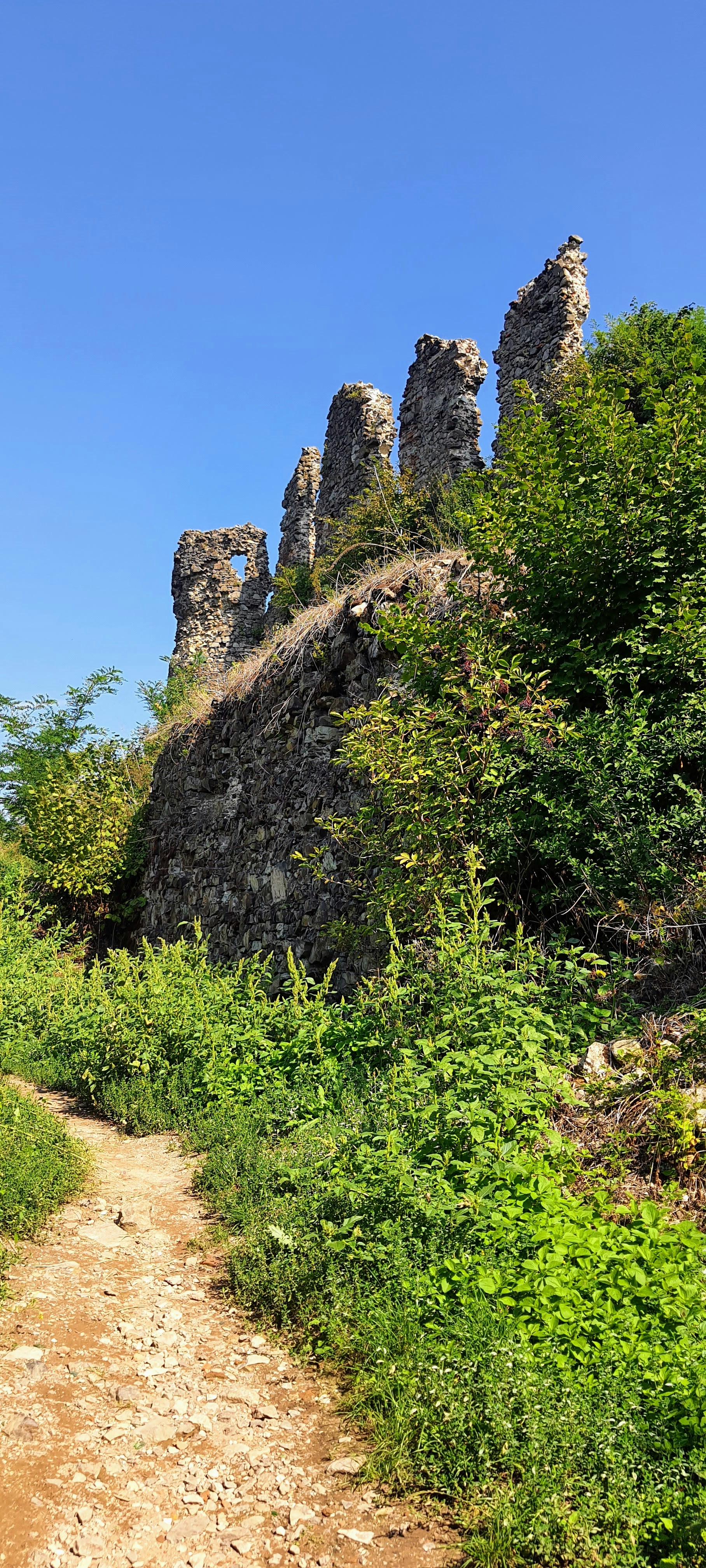 Photo by olenazolotko