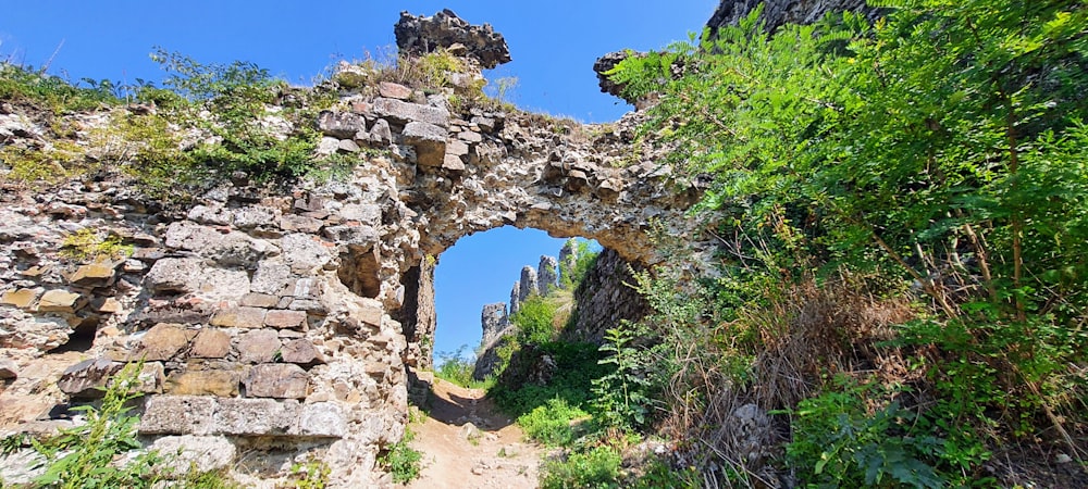 a stone wall with a stone walkway