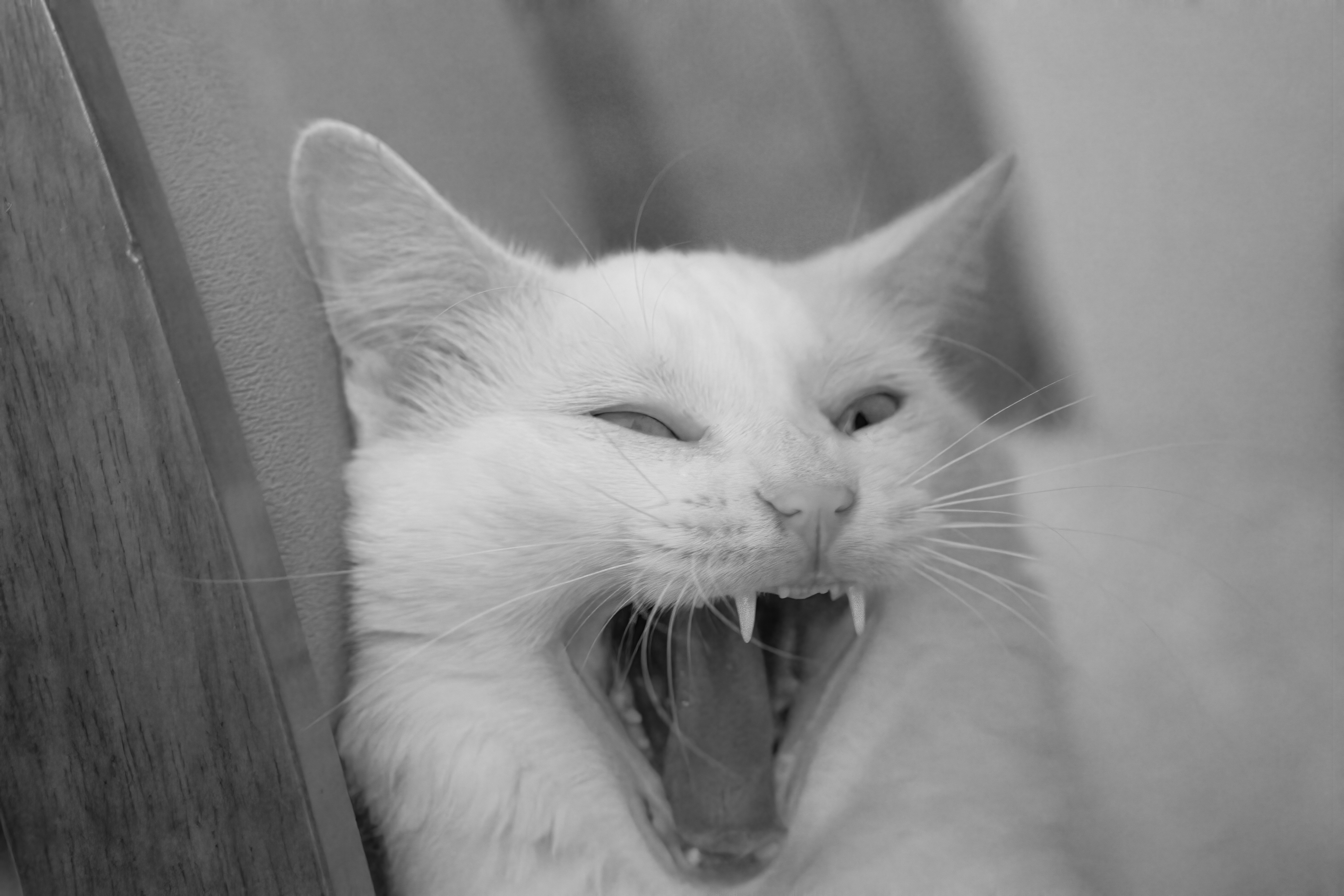 O bruxismo (ranger os dentes) e a qualidade do sono