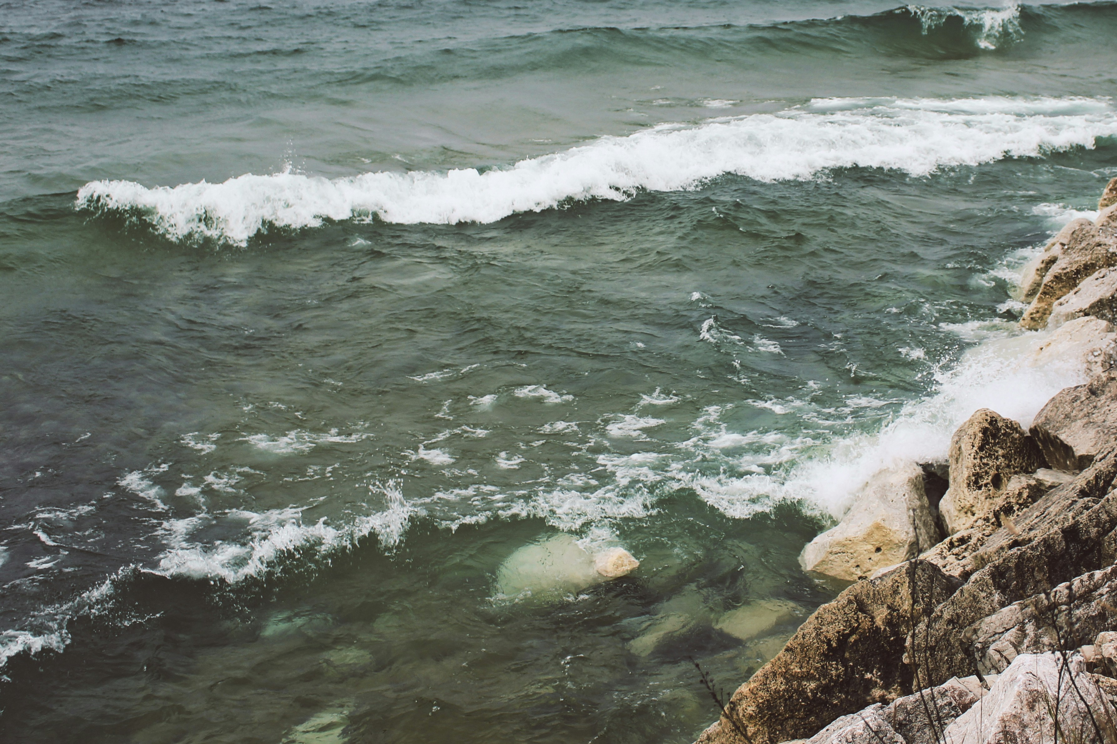 Photo by elijahaustin