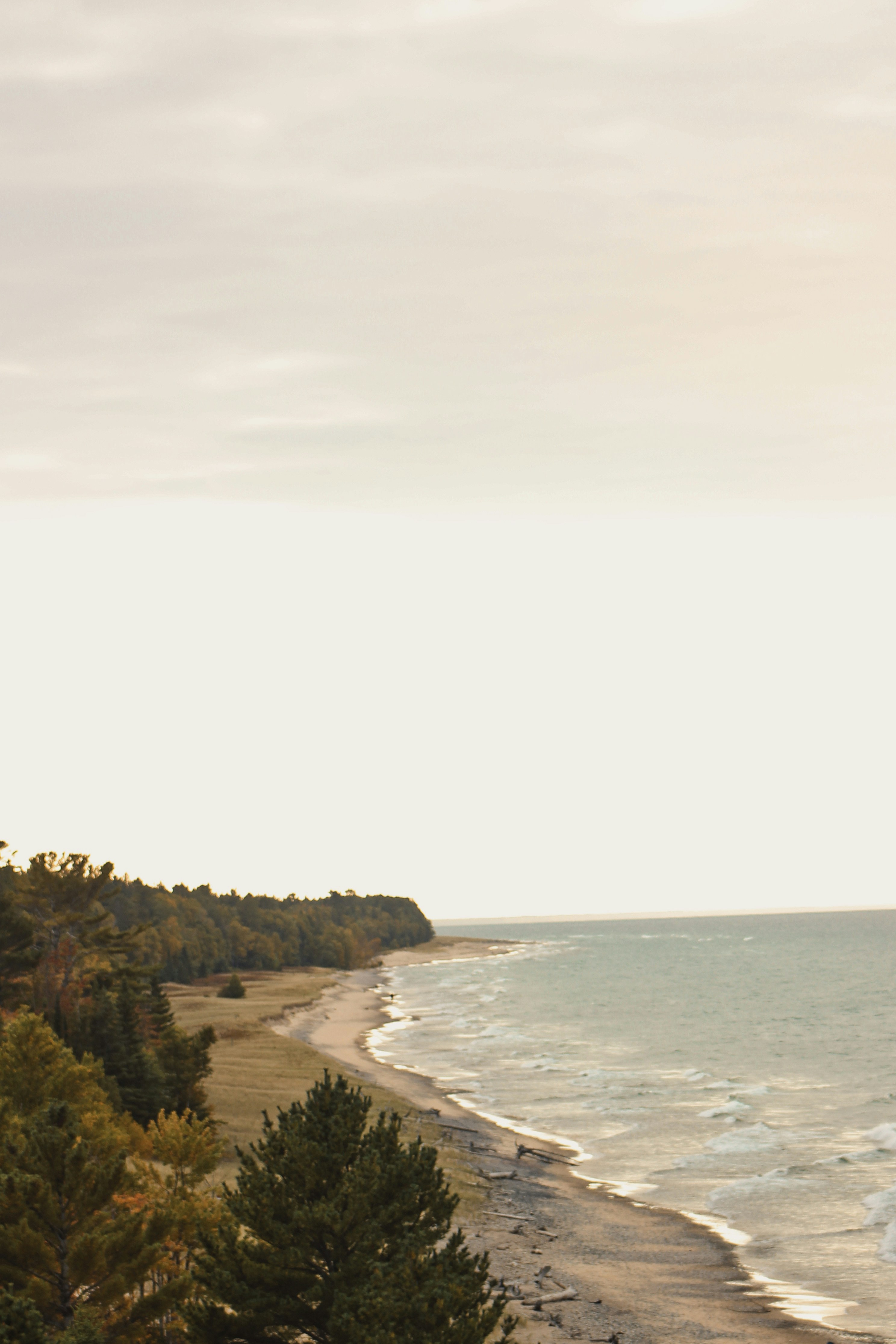 Photo by elijahaustin