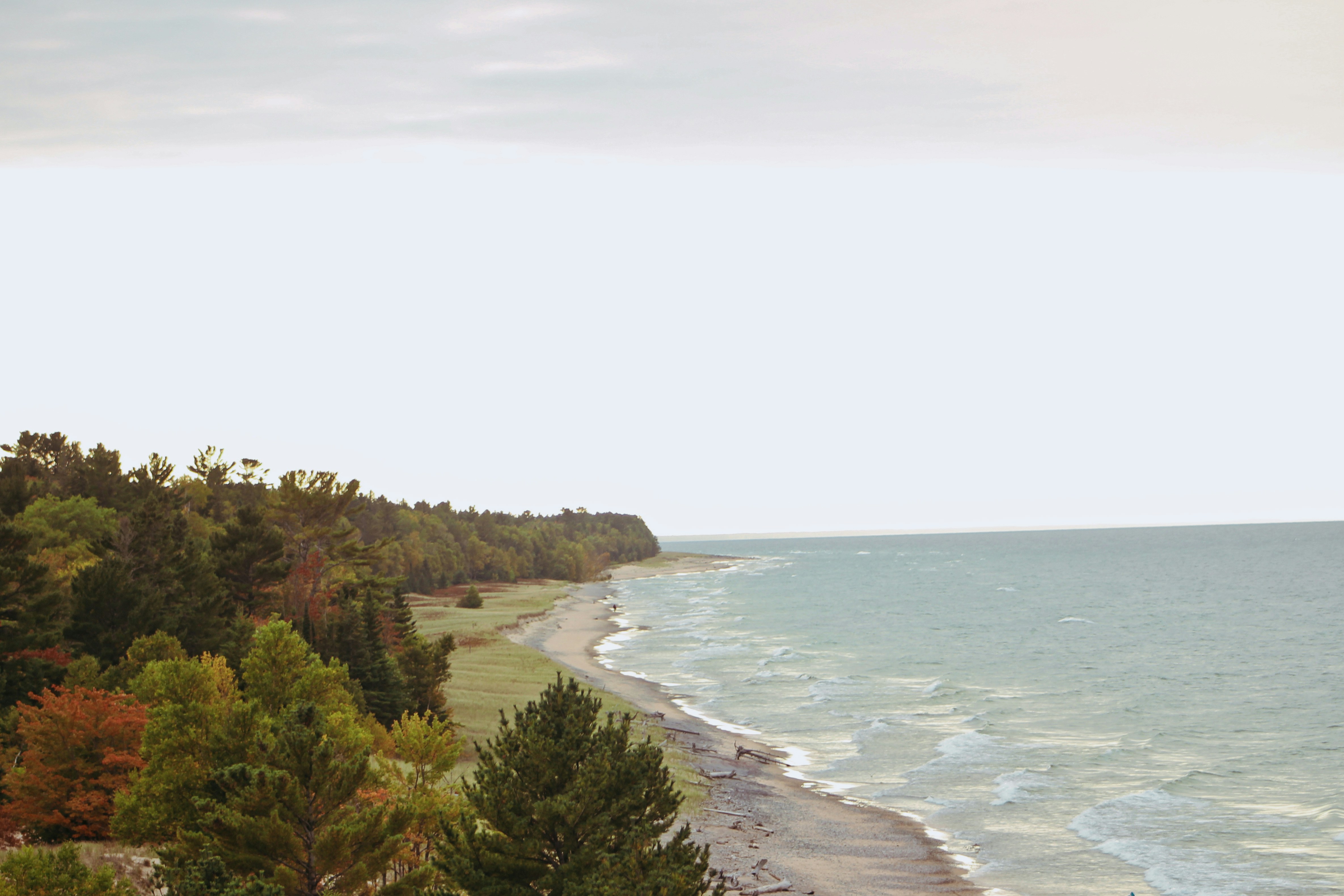 Photo by elijahaustin